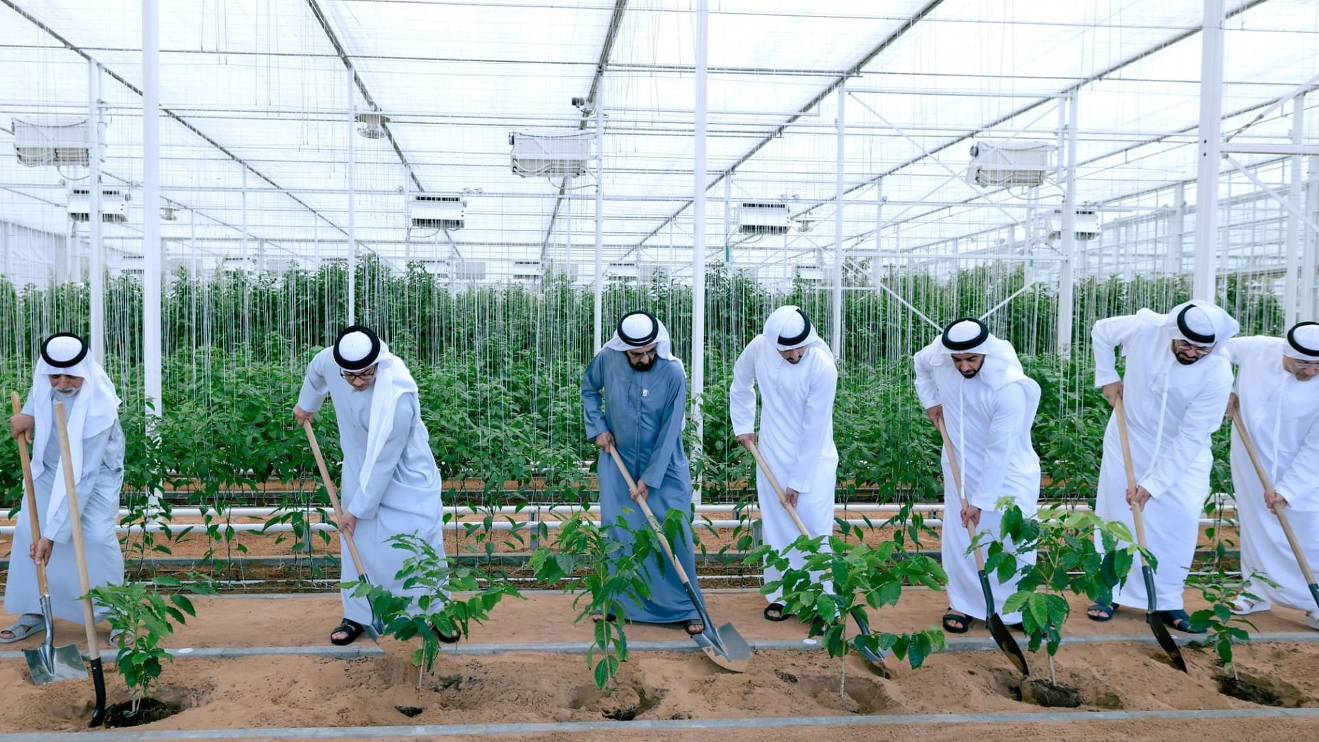 Mohammed bin Rashid chairs UAE Cabinet meeting in Al Marmoom 