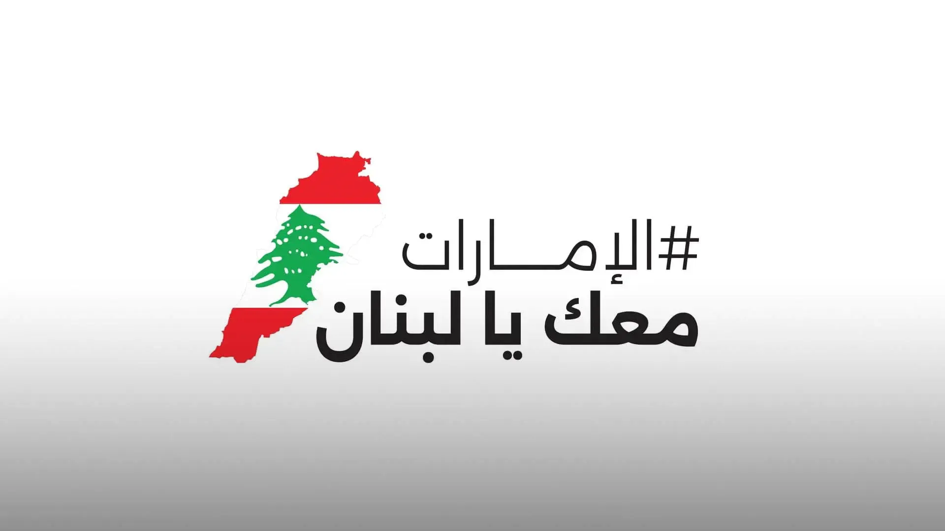 Image for the title: Donation drive as part of 'UAE stands with Lebanon' at ECS 