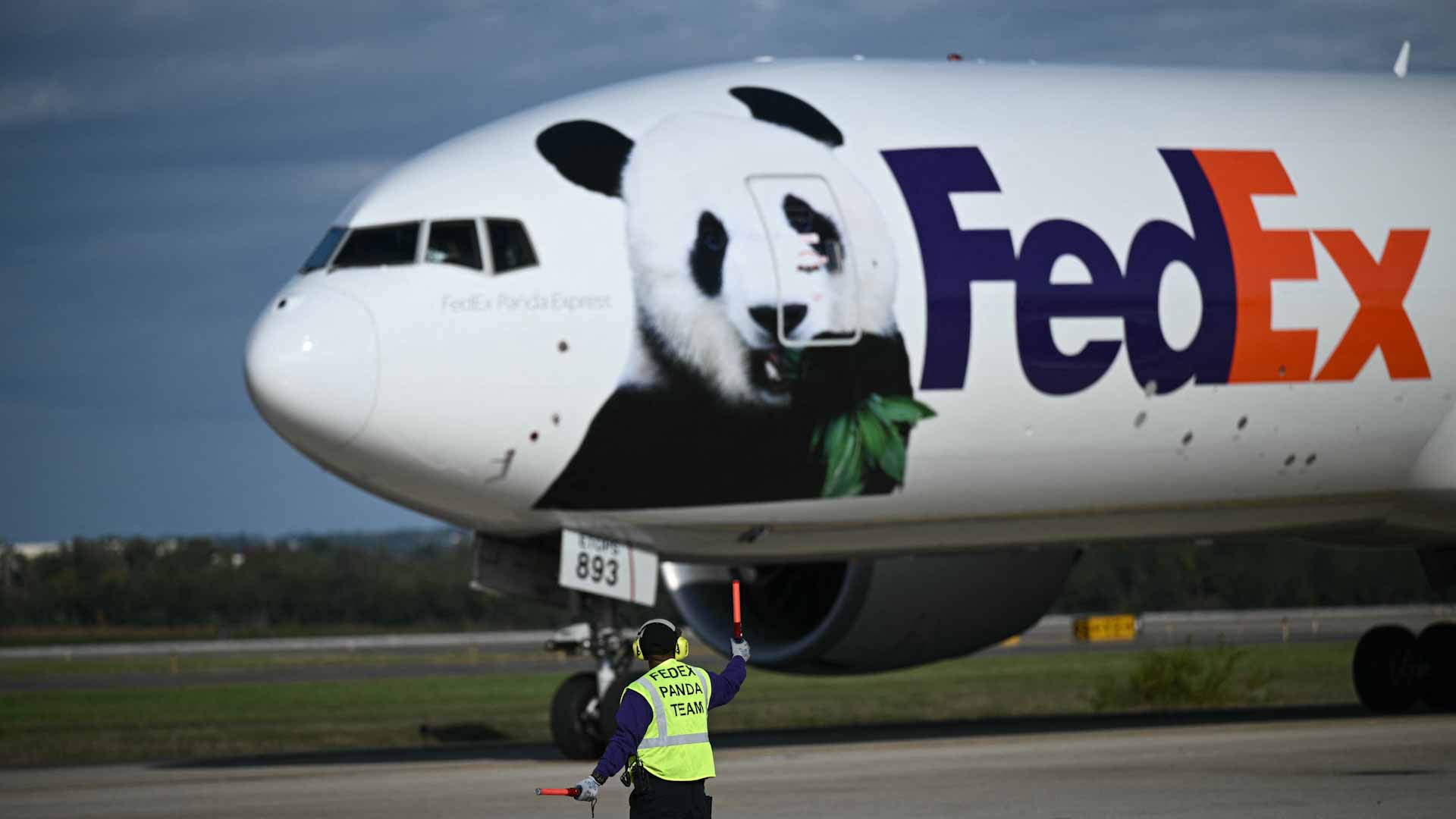 Giant pandas flown to US from China aboard 'Panda Express' 