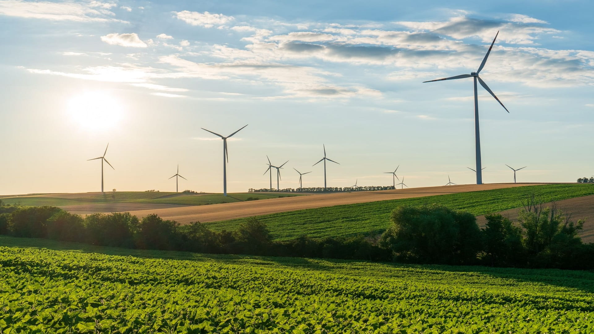 Renewable energy provides over 80% of Austria’s electricity production