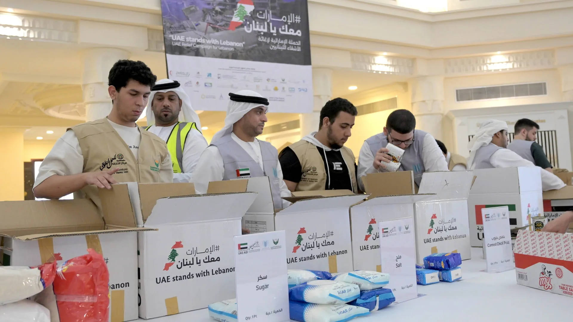 Image for the title: UOS and SCI collaborate to support "UAE Stands with Lebanon"   