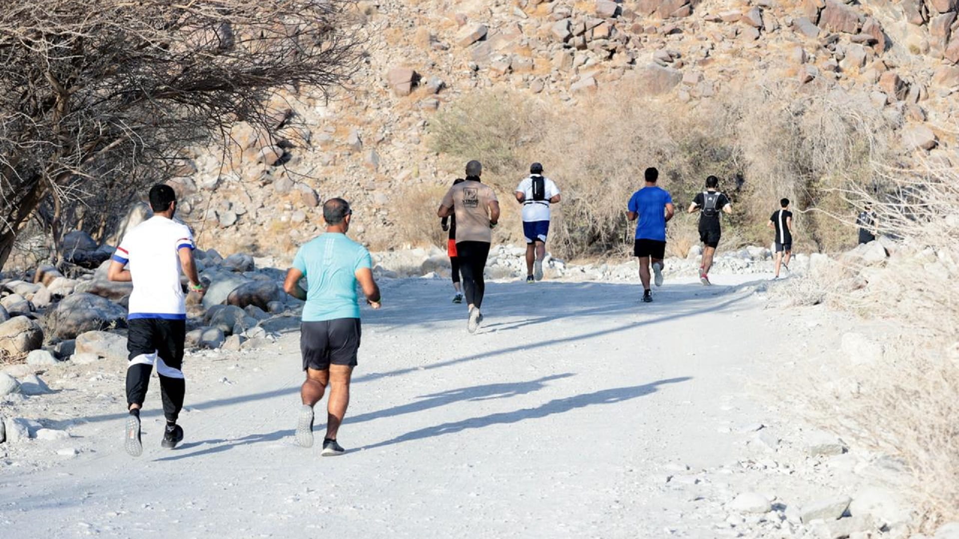 SSC organises Wadi Al Helo Trail Run on November 3 in Kalba 