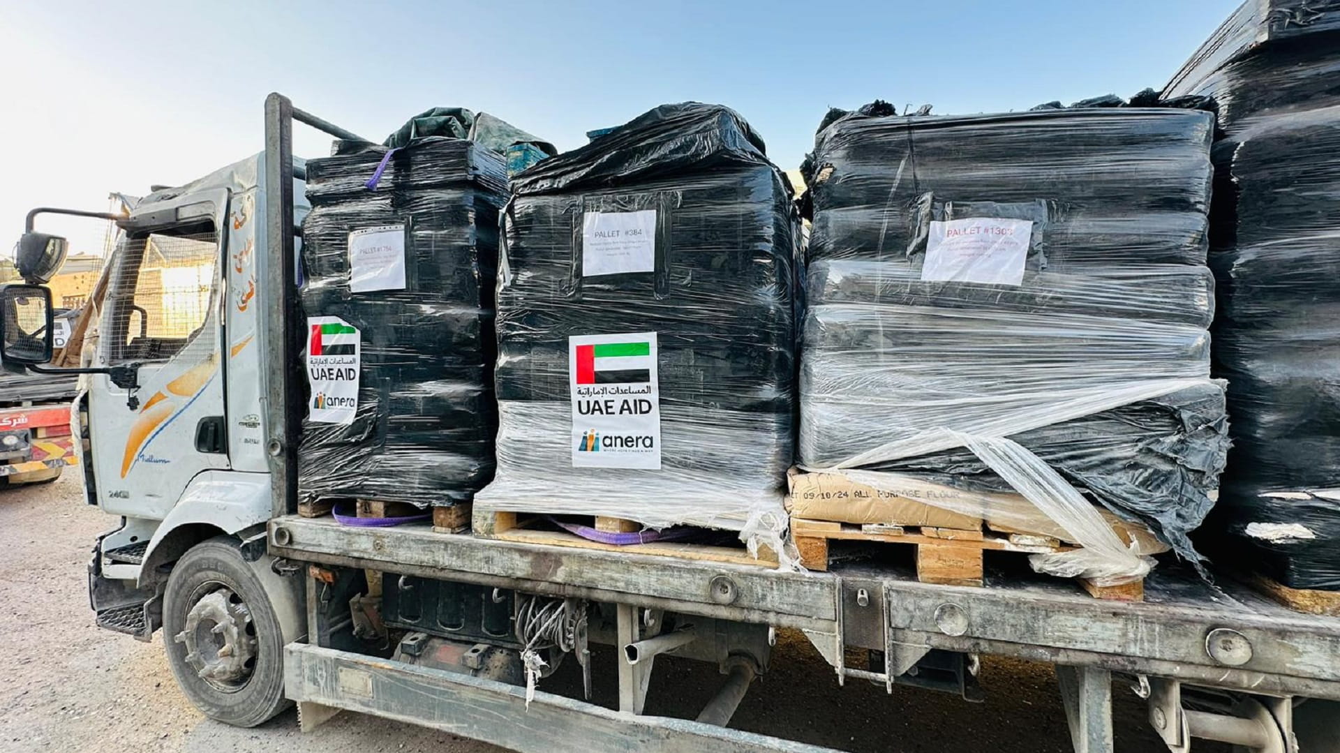 UAE dispatches twelve additional trucks carrying aid to Gaza 