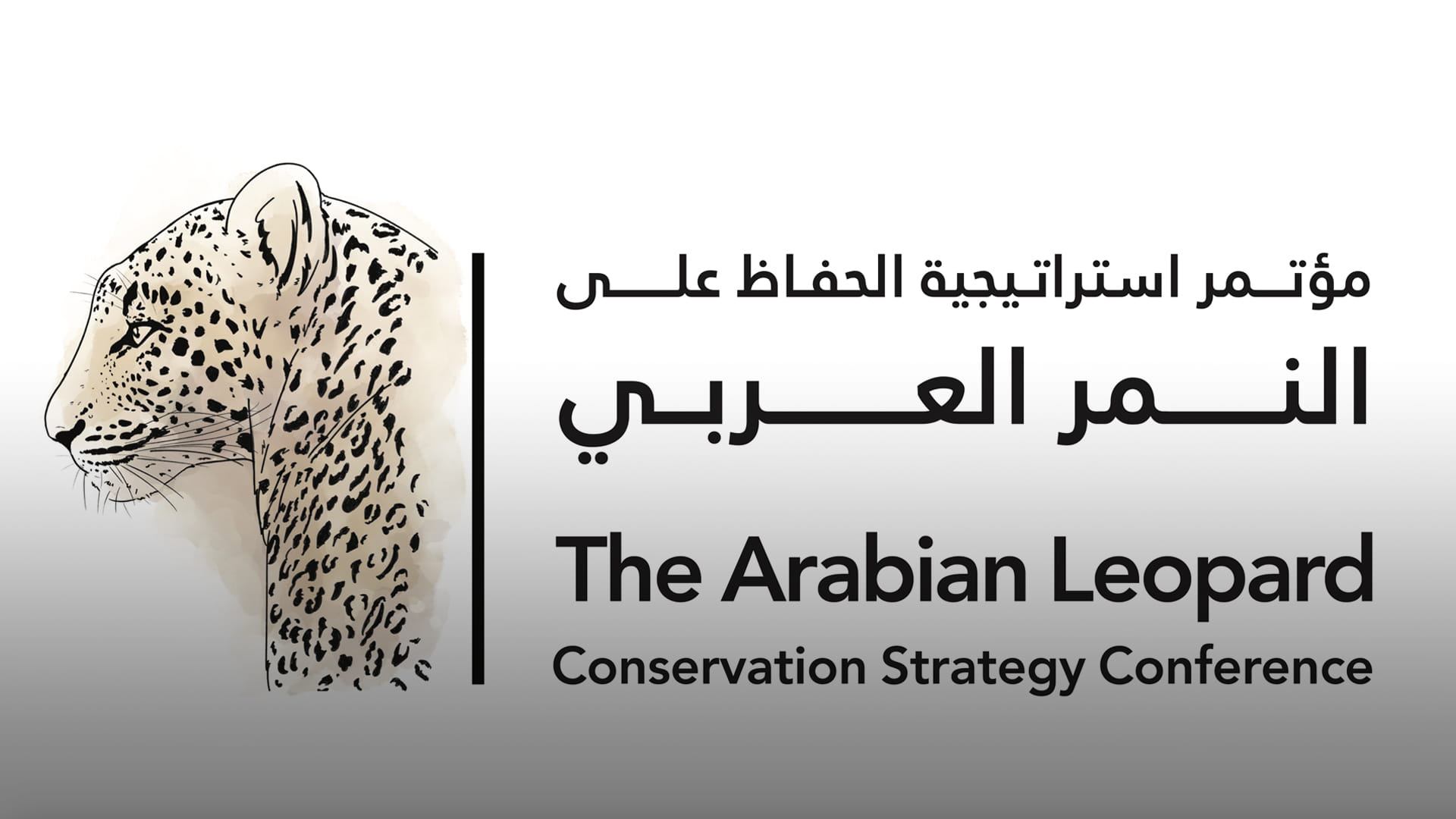 Conference on Arabian Leopard Conservation Strategy to be Organized