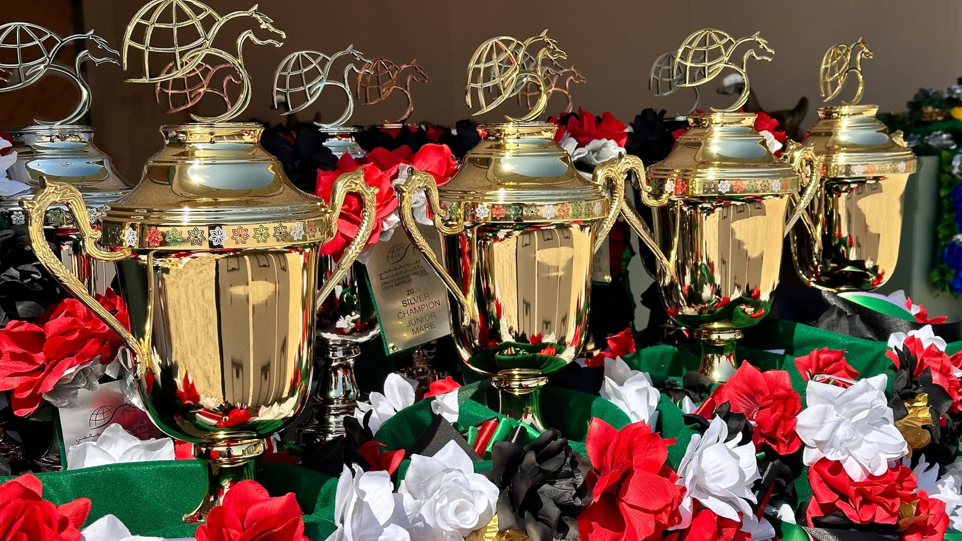 Syria hosts final championship of 2024 Emirates Arabian Horse Cup