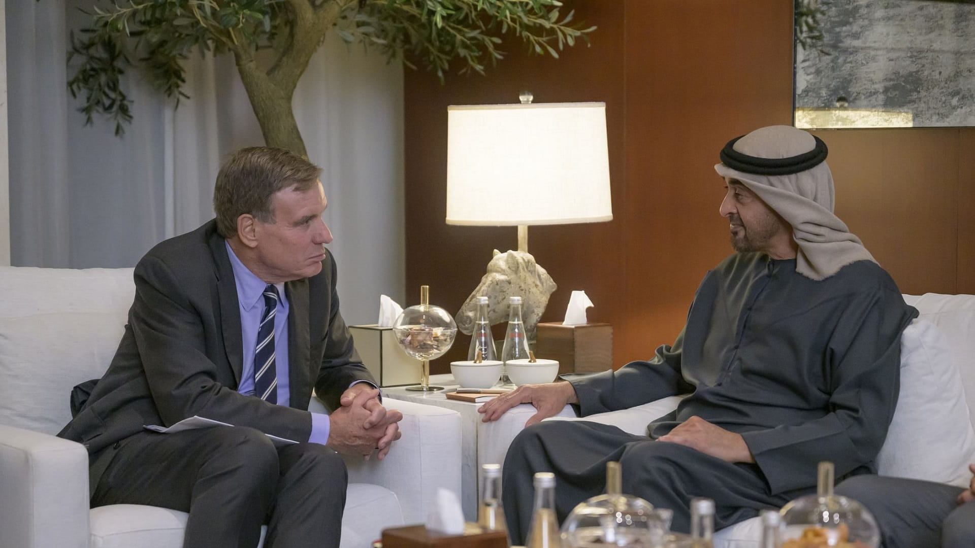 UAE President and US Senators discuss bilateral relations 