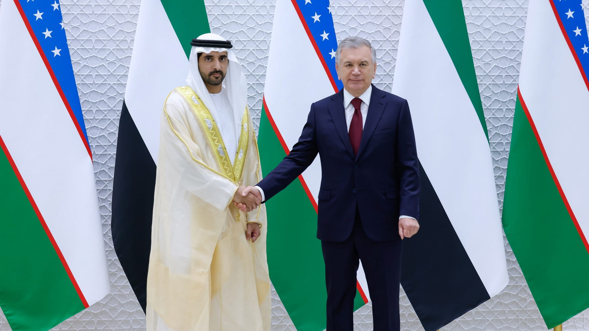 Uzbek President meets with Hamdan bin Mohammed in Tashkent 