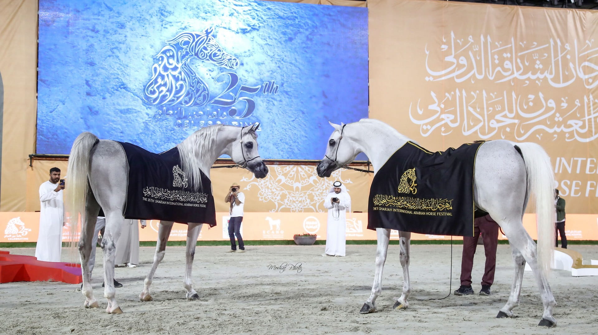مهرجان الشارقة الدولي للجواد العربي يطلق دورته الـ26 الجمعة 