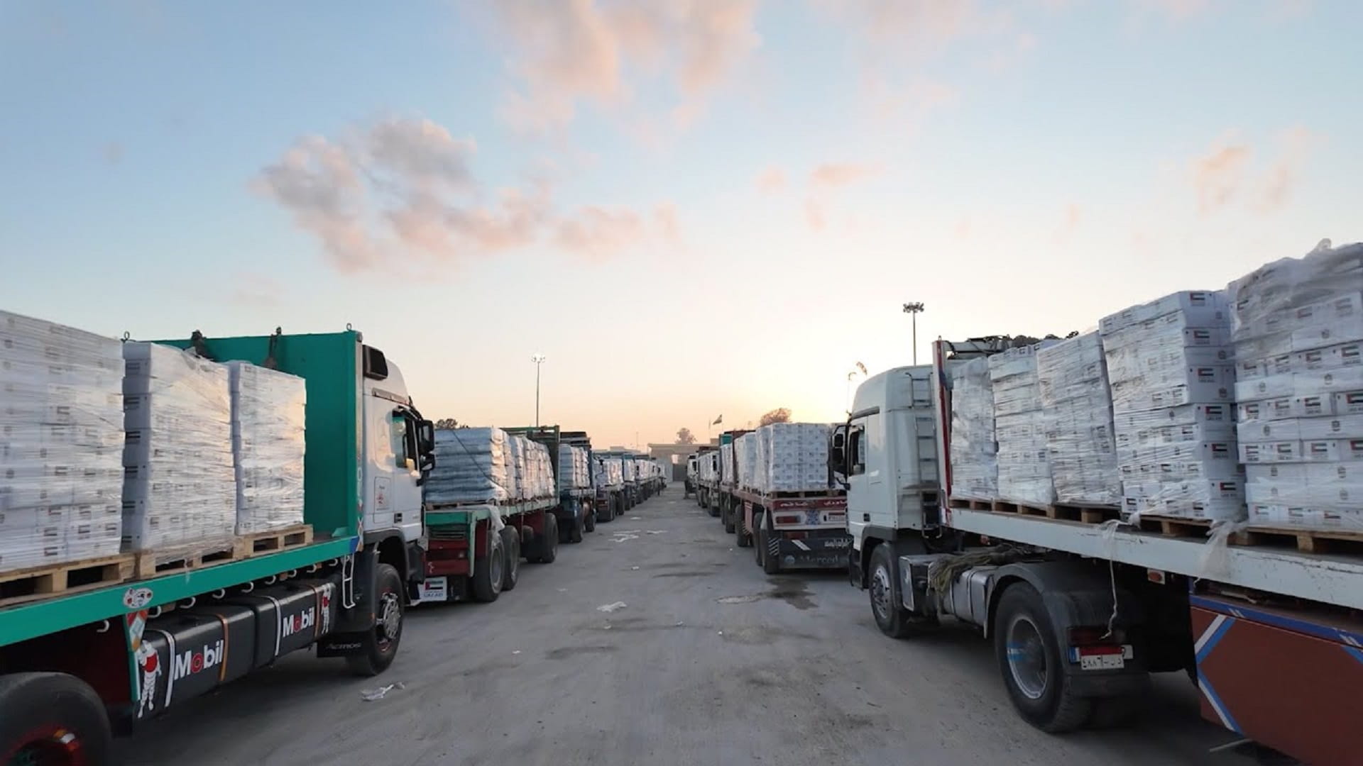 214 UAE aid trucks enter Gaza under relief operation