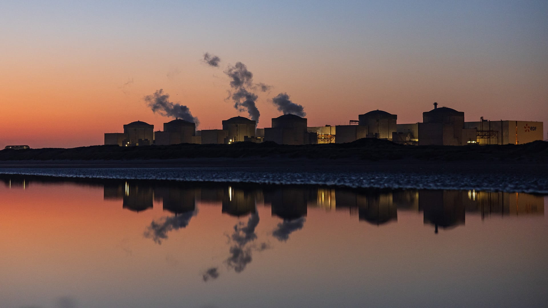 Jellyfish swarm forces temporary shutdown of French Nuclear Plant