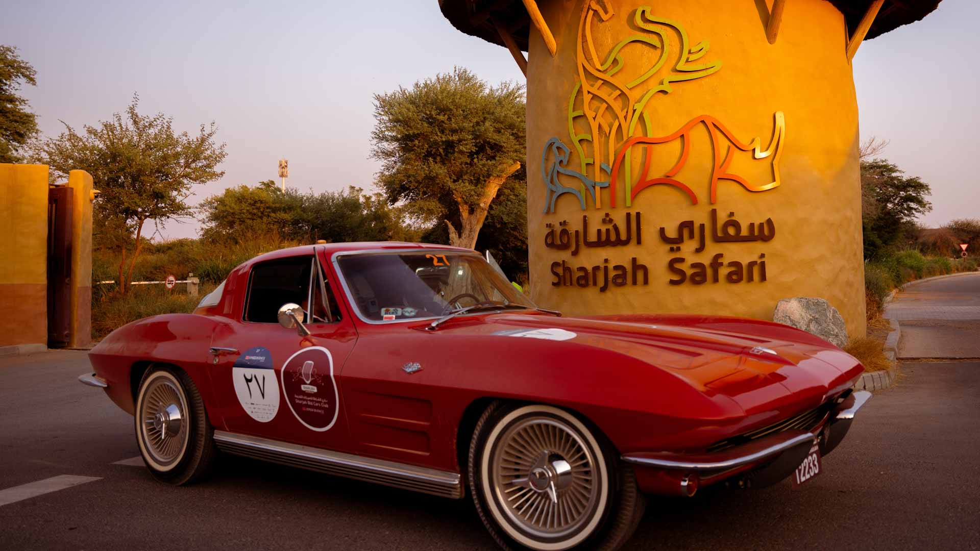 كورفيت C2 تبرز حضور الشارقة للسيارات القديمة في رالي الألف ميل2025 