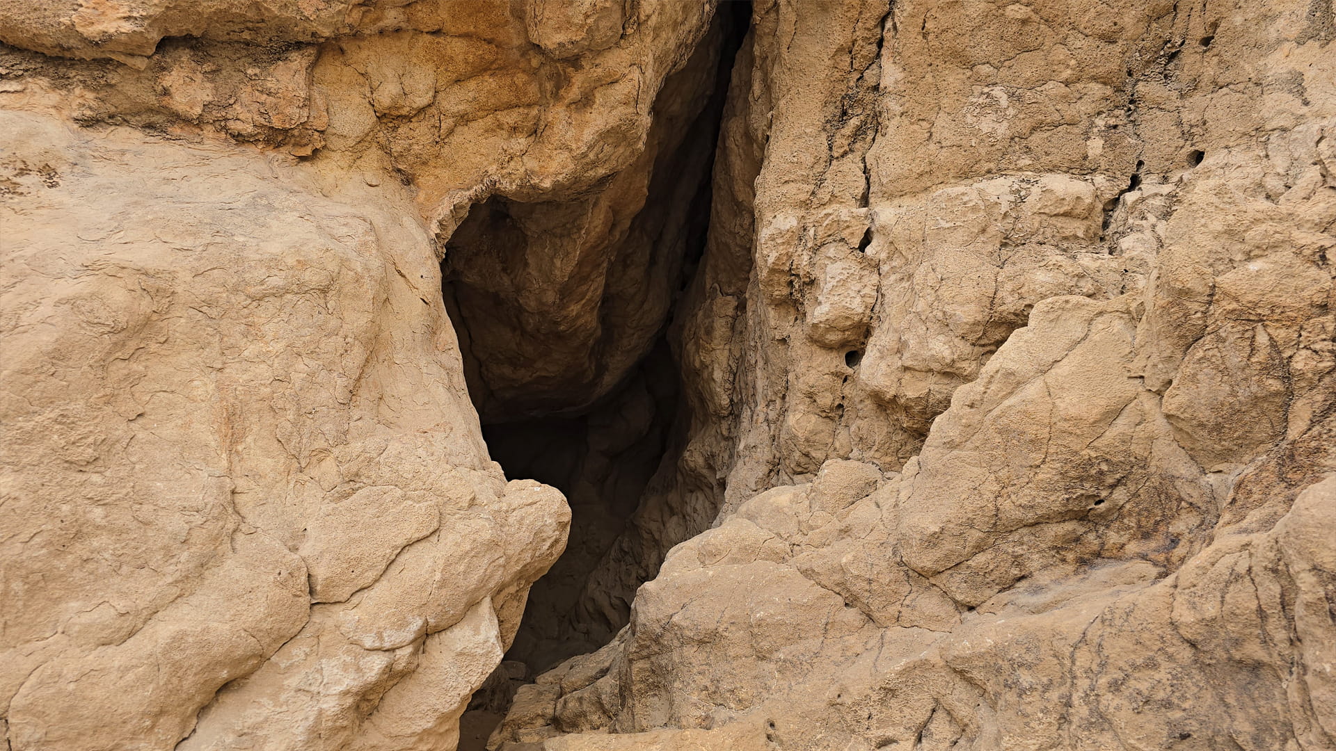 SAA: Faya site tells story of early human settlement