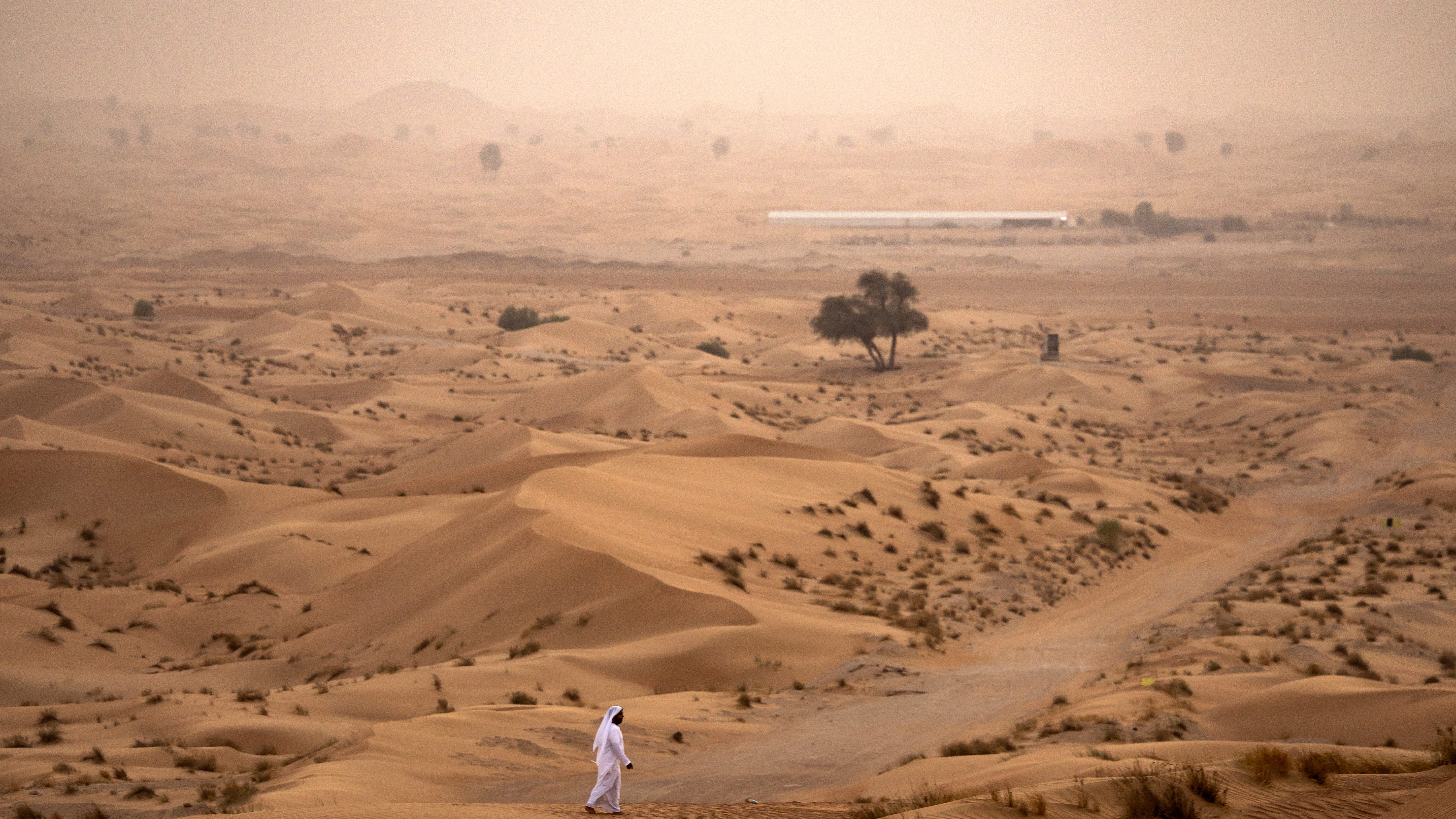 رياح مثيرة للغبار 