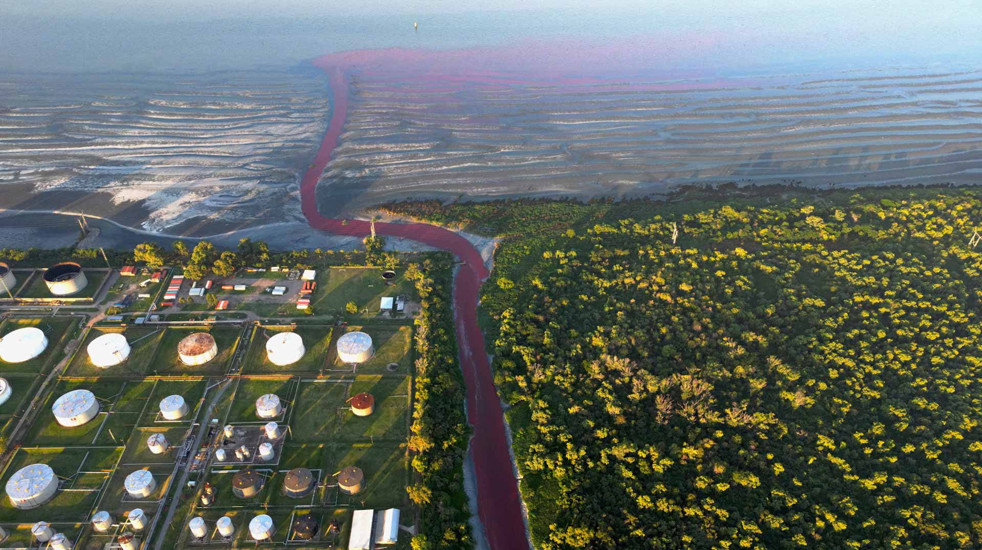 A stream turns blood red in Argentina, residents blame pollution 