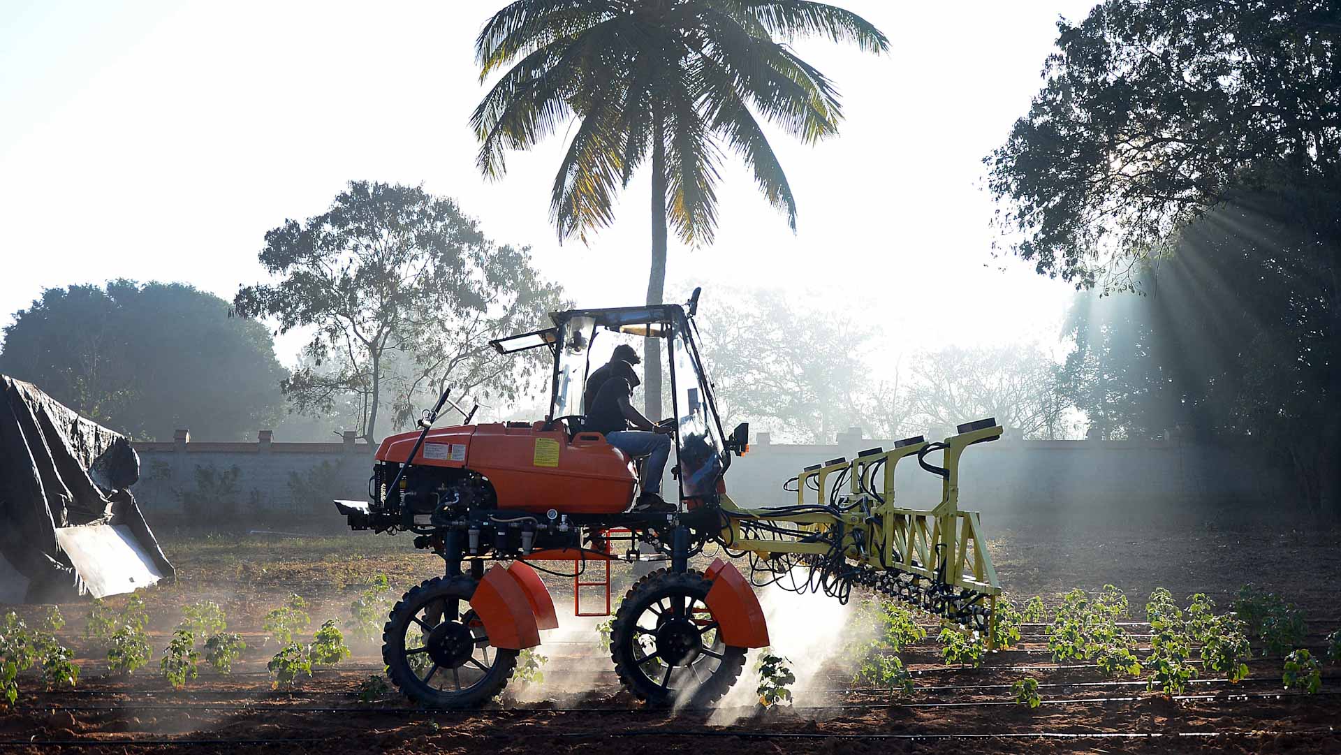 AI starts to help India's struggling farms