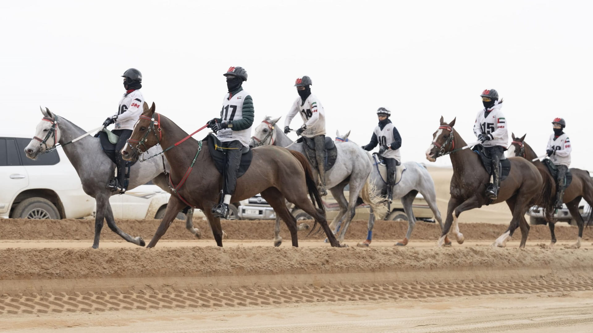 UAE President's Endurance Cup to be held at Al Wathba 