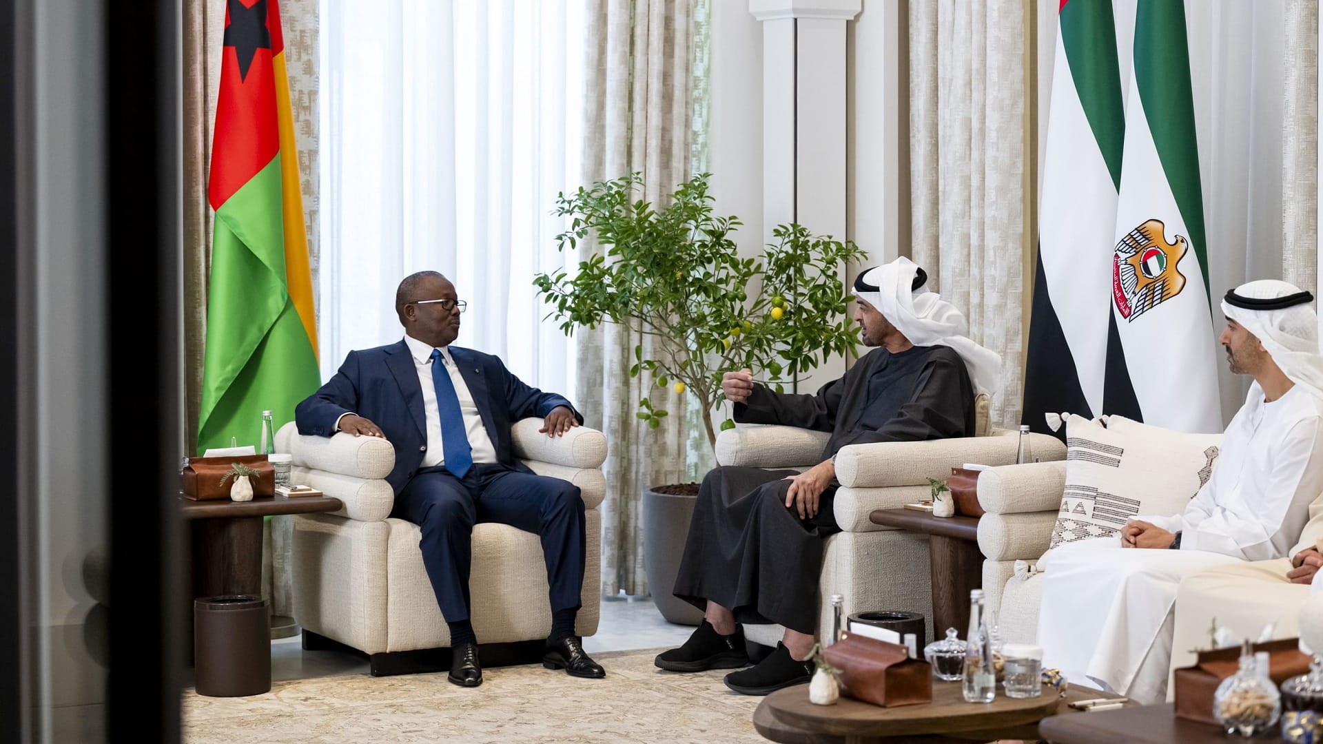 Presidents of UAE, Guinea-Bissau enhance bilateral relations 