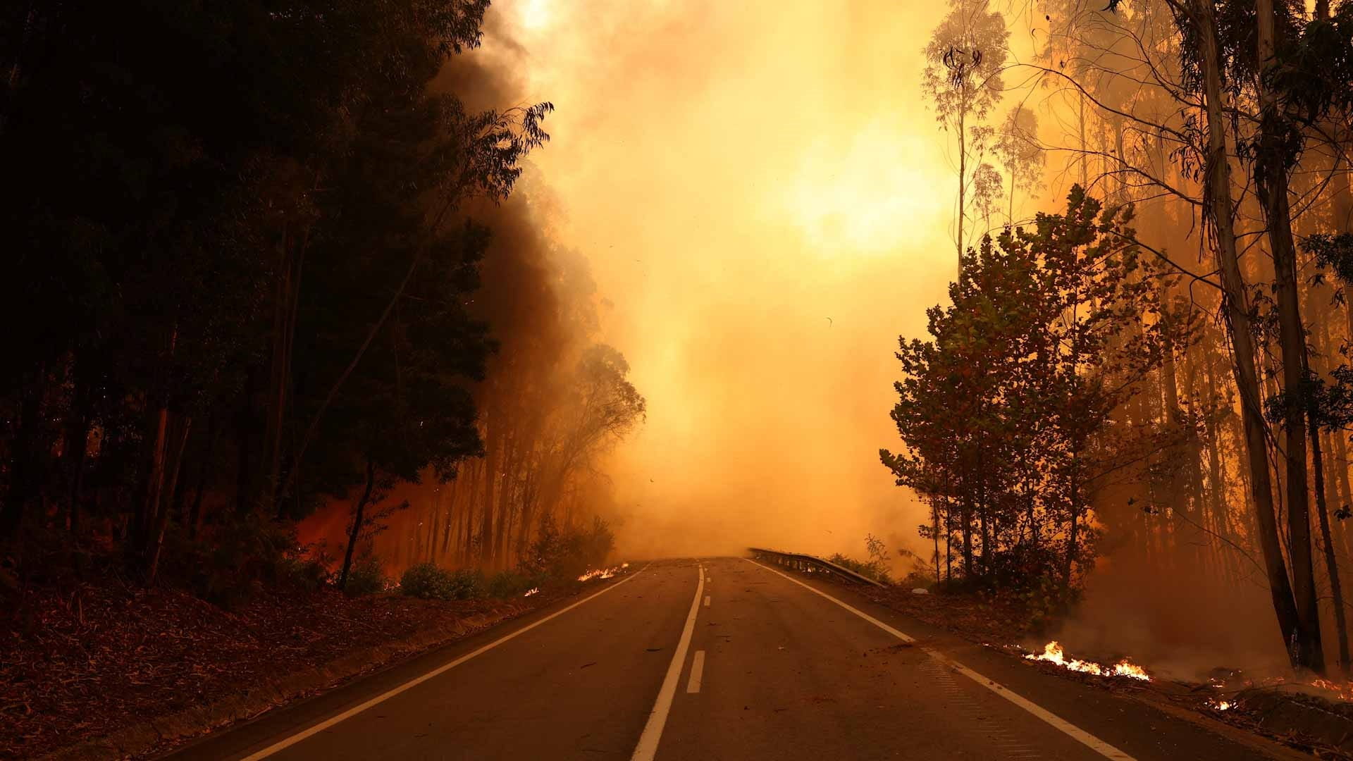 Southeast Australia endures heatwave, faces bushfire risk 