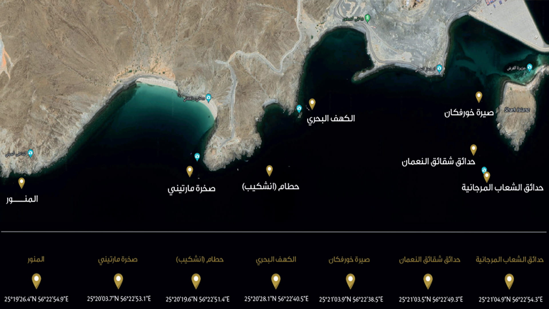 أماكن للغوص في الشارقة للاستمتاع برحلة إلى أعماق البحار