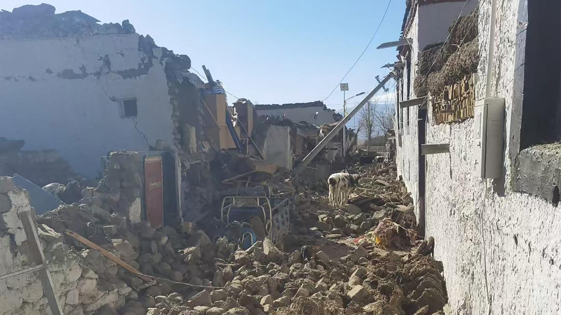 Death toll from Tibet earthquake rises to 126 