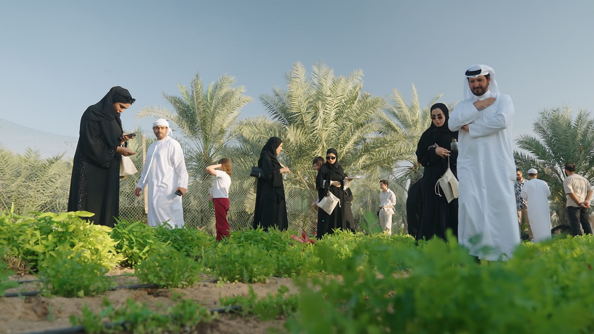 ‘Sustainability Year’ wraps up inspiring year for thriving future 