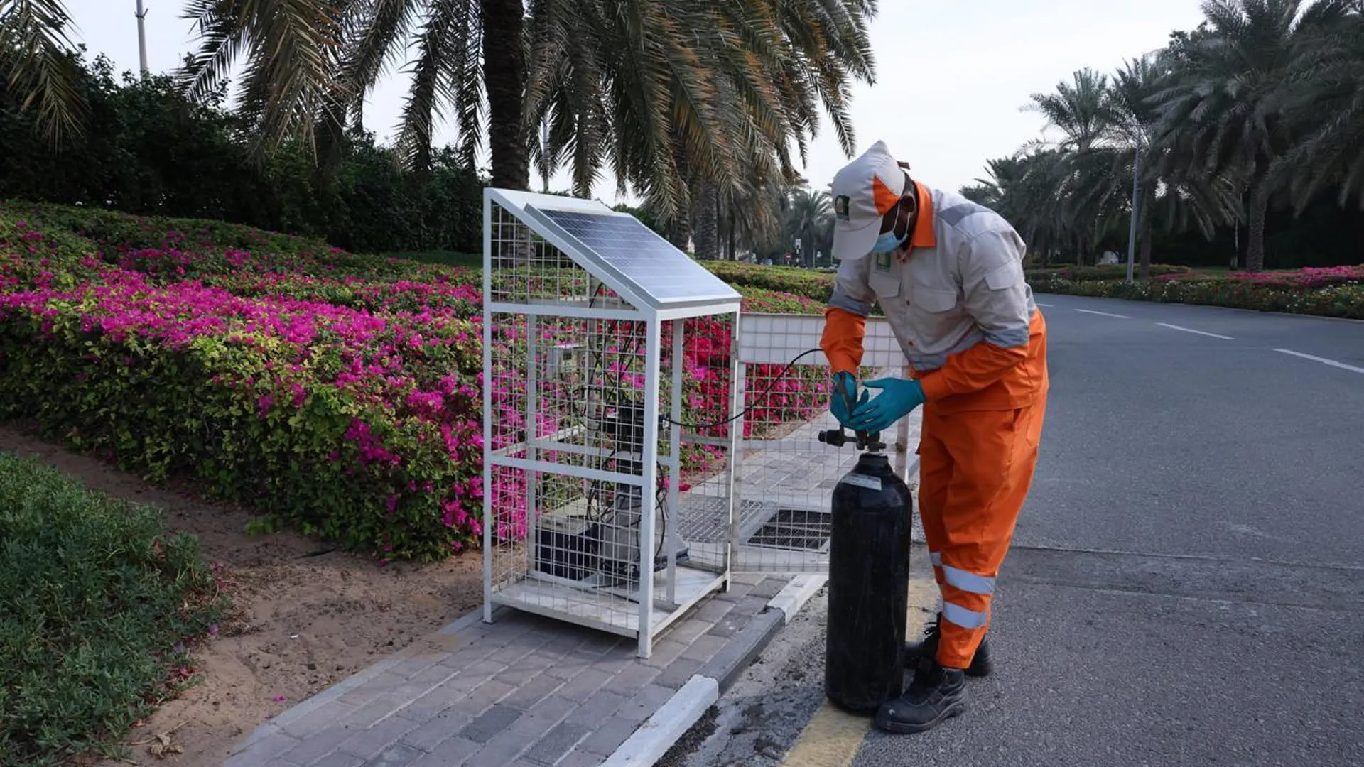 Sharjah Municipality deploys 90 smart traps to tackle mosquitoes  