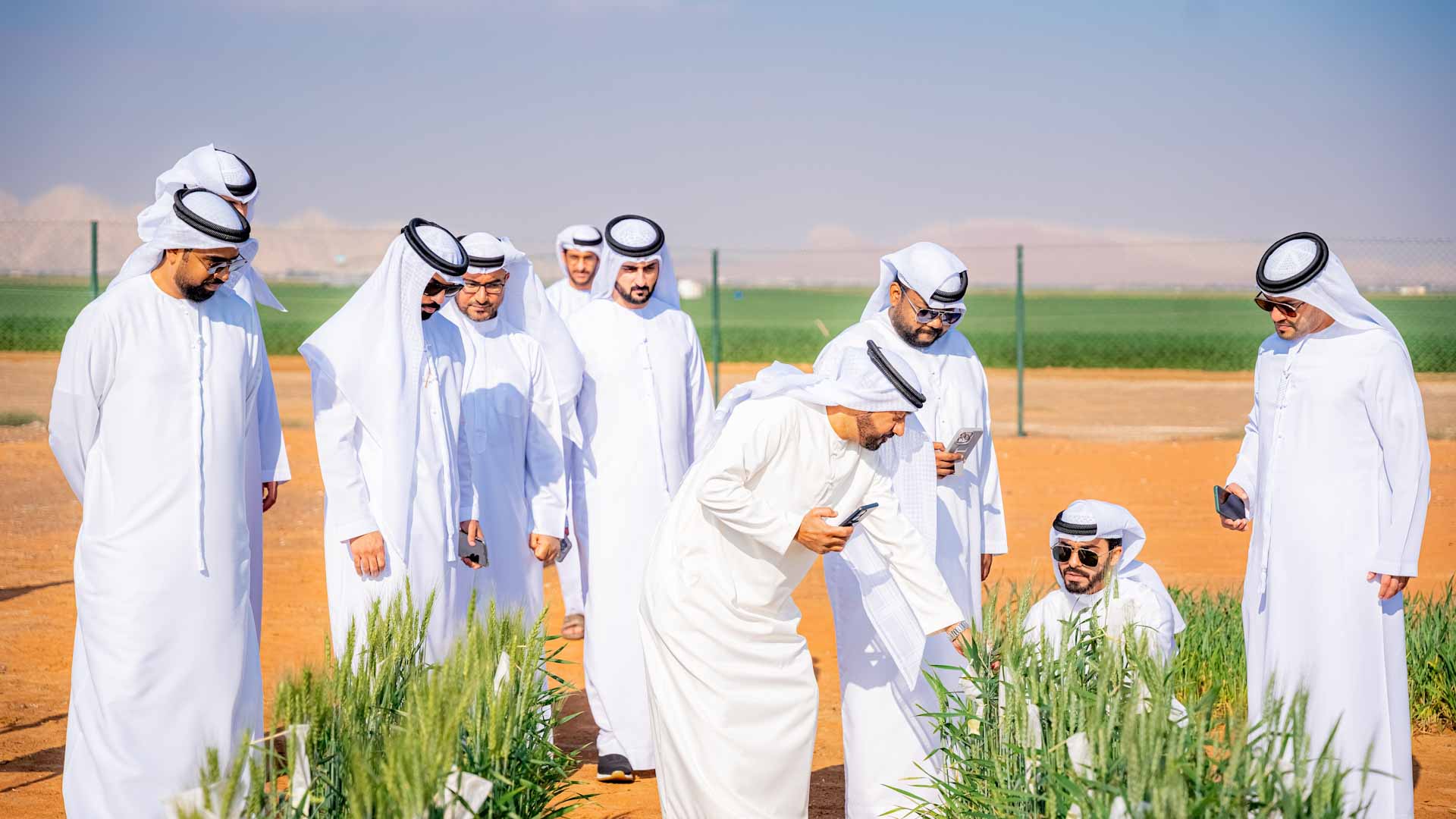 "موارد الشارقة" تعزز ثقافة موظفيها حول زراعة القمح 