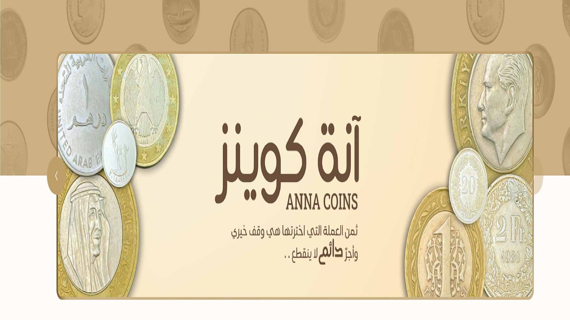 Anna Coins: Transforming Currencies into Endowments