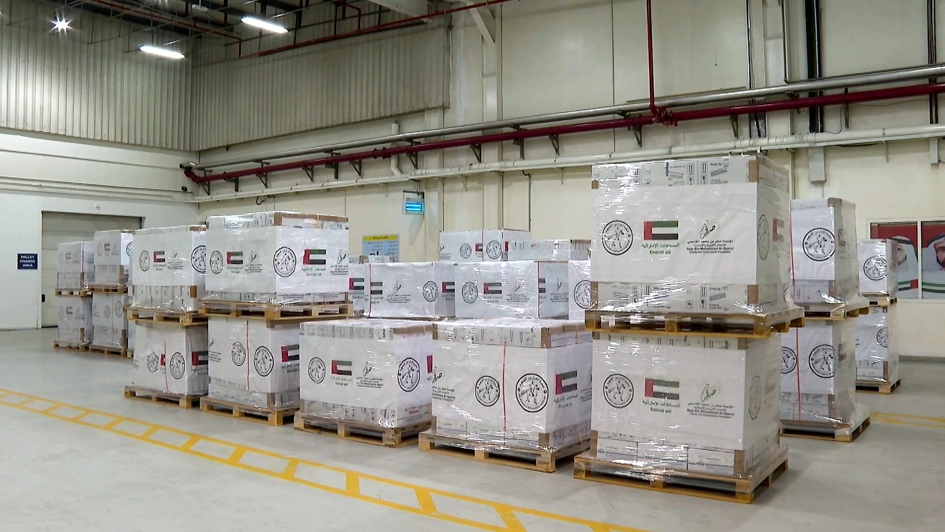 Julphar provides 12 tonnes of medicines to Gaza hospitals 