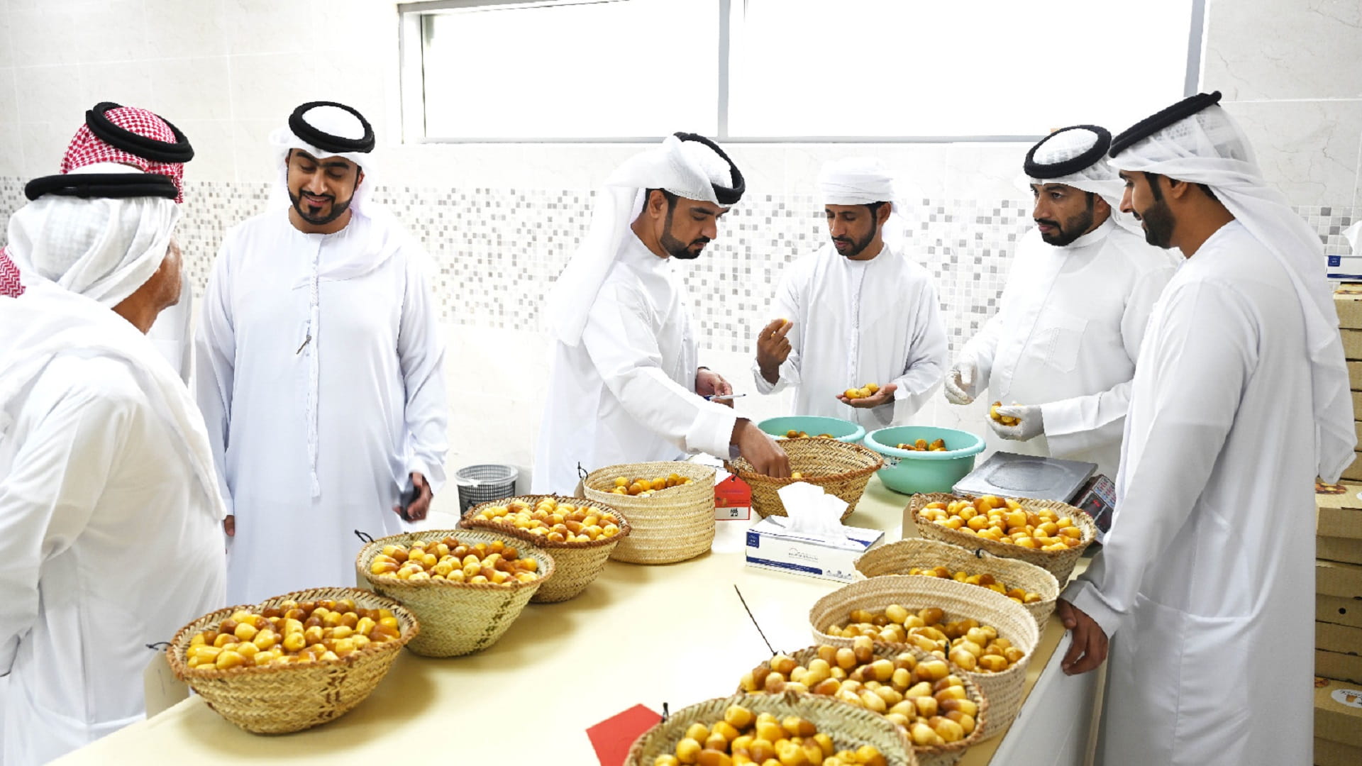 مهرجان الذيد للرطب يرسخ مكانته كمنصة رائدة للابتكار الزراعي  