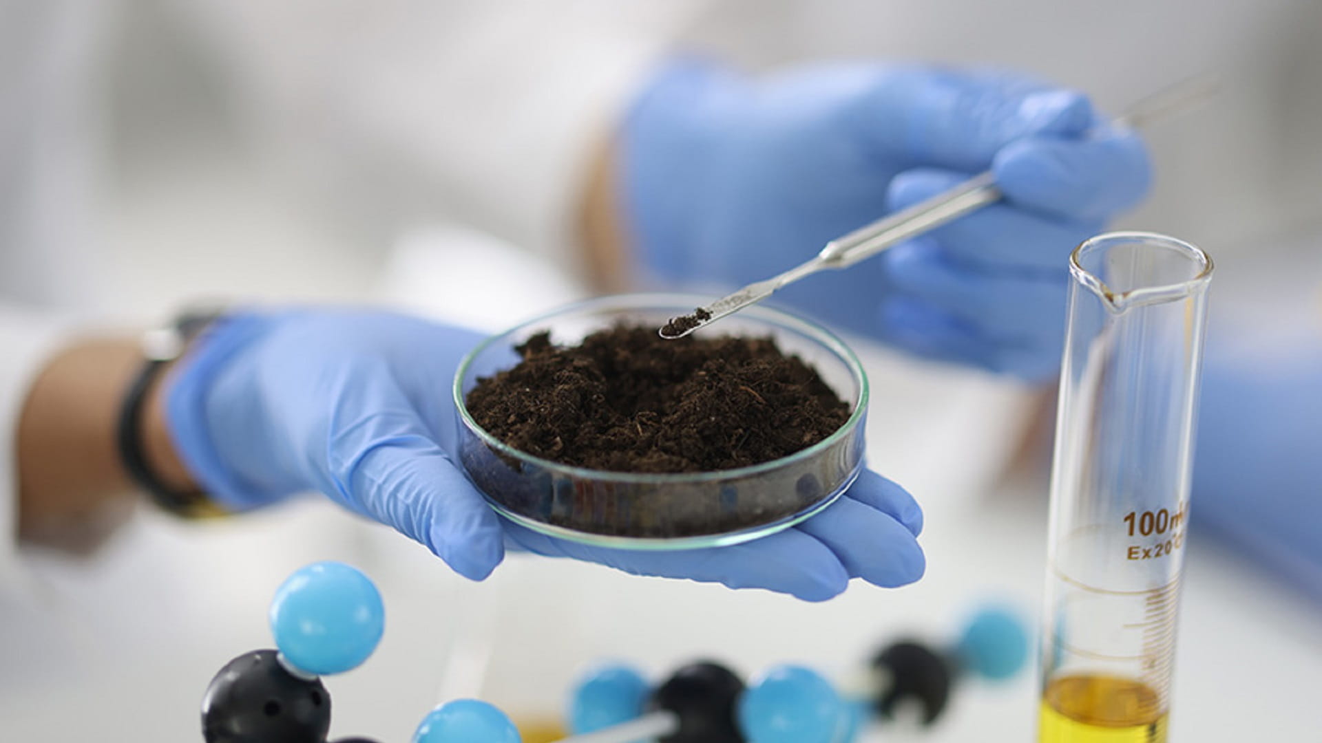 Farming the unfarmable: How microbes revive life in desert soils