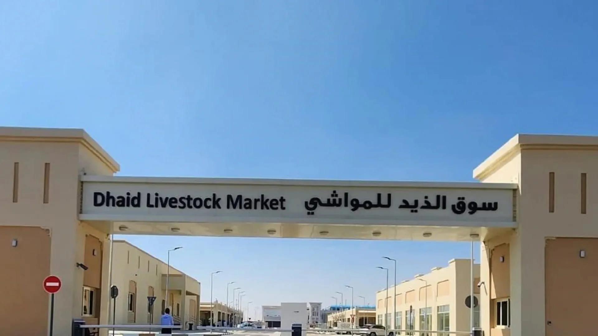 Al Dhaid Livestock Market prepares for Eid Al-Adha