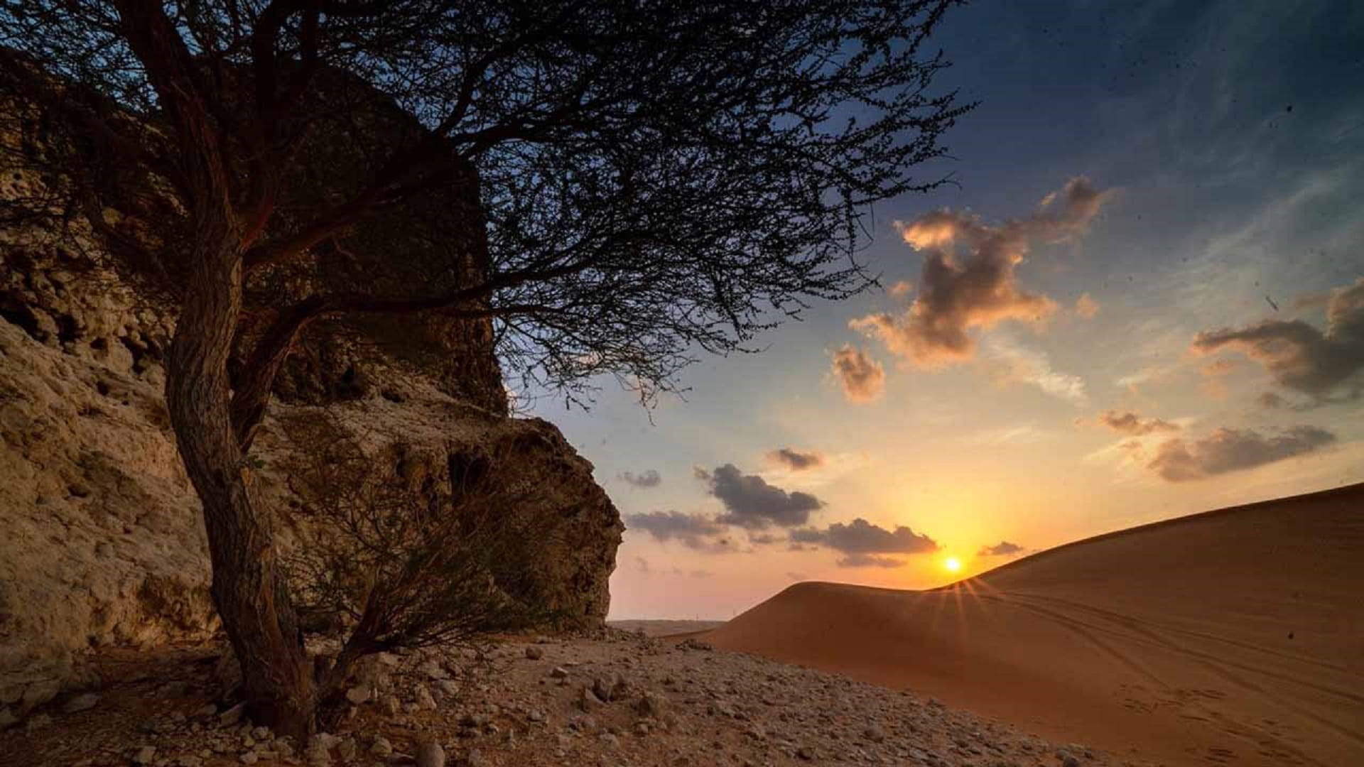 Mleiha Park recorded 100+ species of flora fauna in its habitat