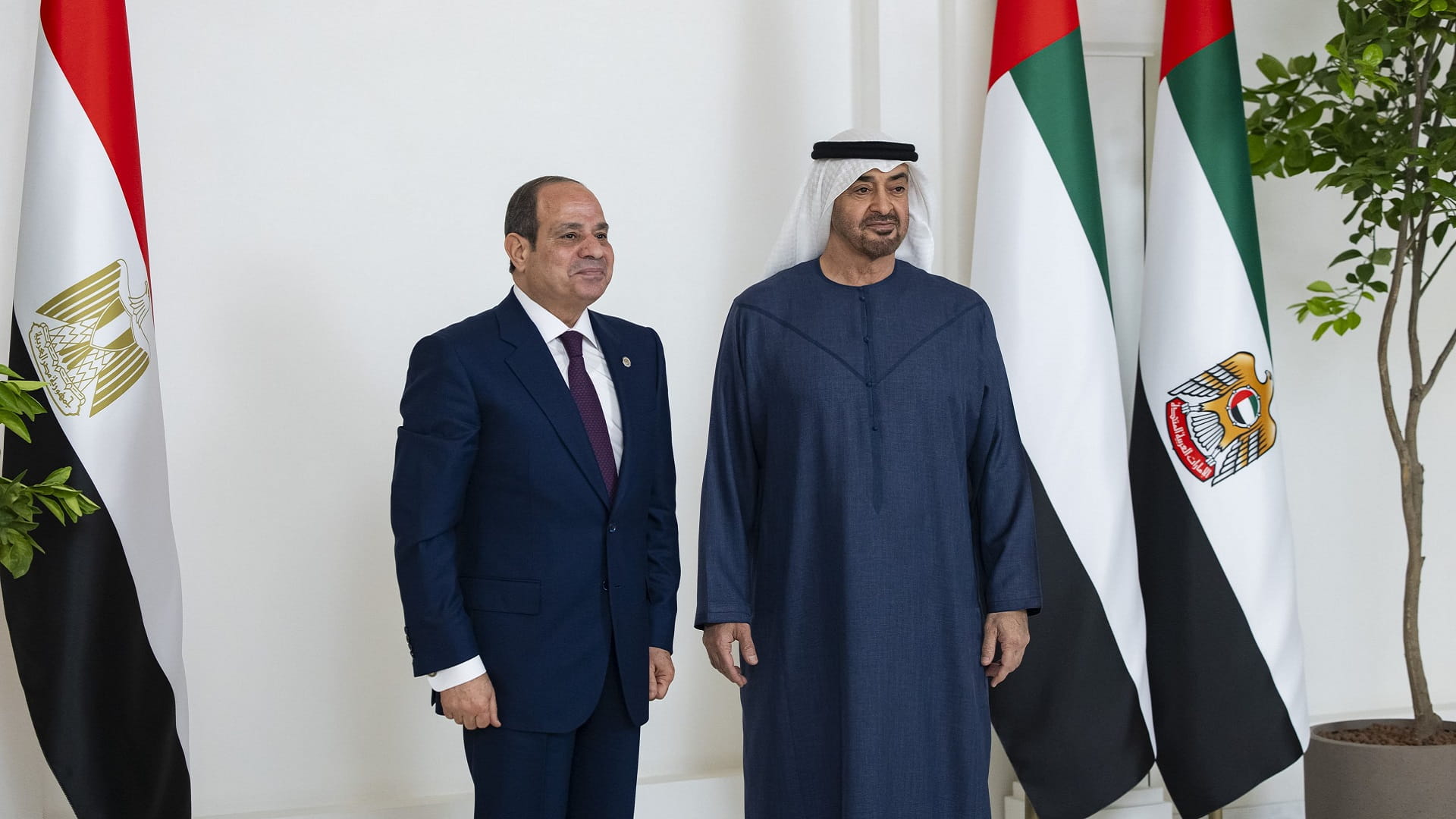رئيس الدولة والرئيس المصري يبحثان التطورات الإقليمية