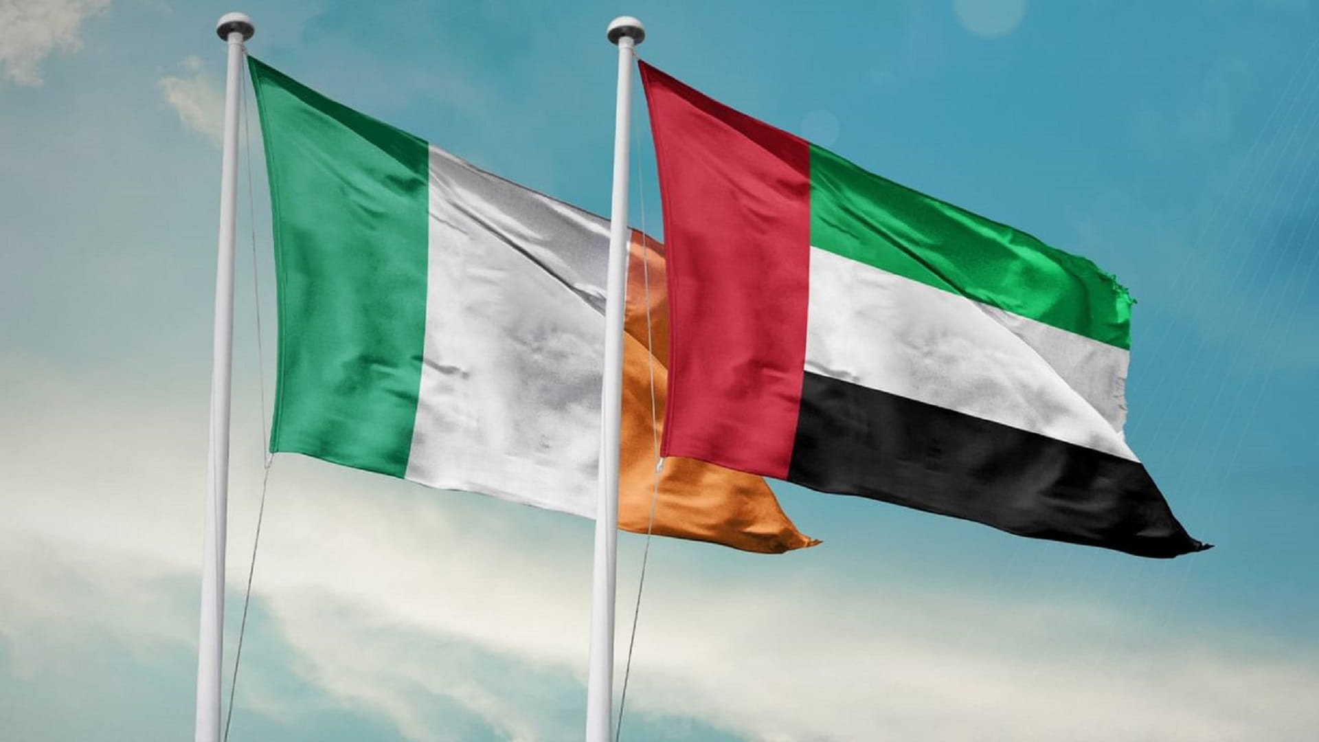 الإمارات وإيرلندا تؤكدان أهمية التعاون للحفاظ على سيادة القانون