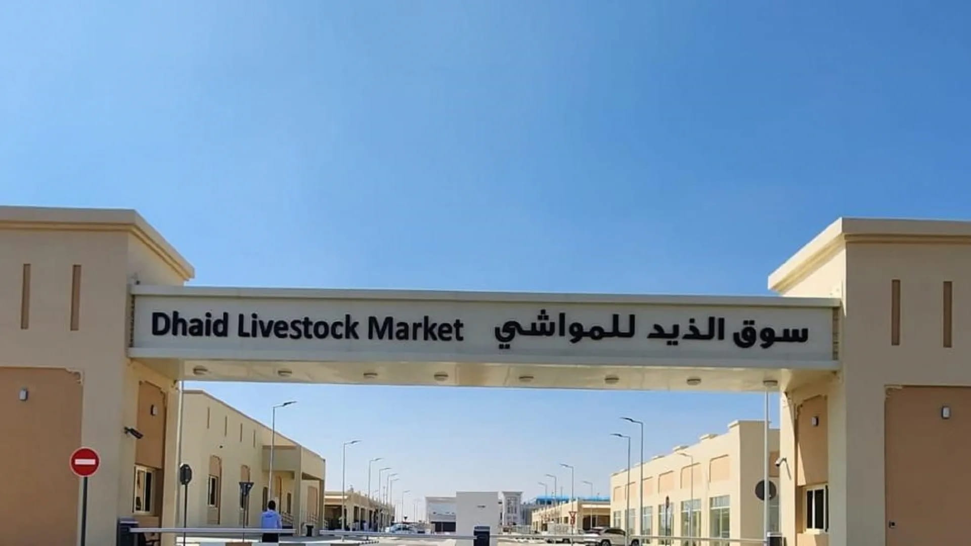 سوق المواشي في الذيد يعلن جاهزيته لاستقبال الزوار في عيد الأضحى