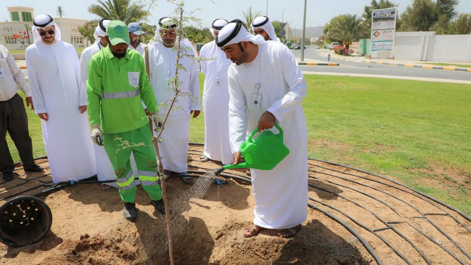 Tree-planting initiative by Dibba Al Hisn Municipality in WED