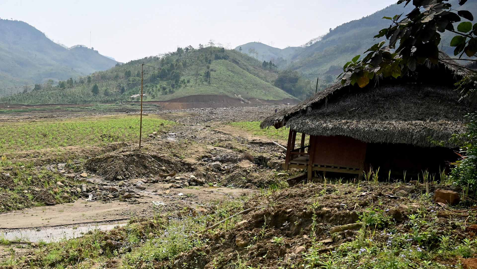 Five killed, two missing in Vietnam typhoon floods