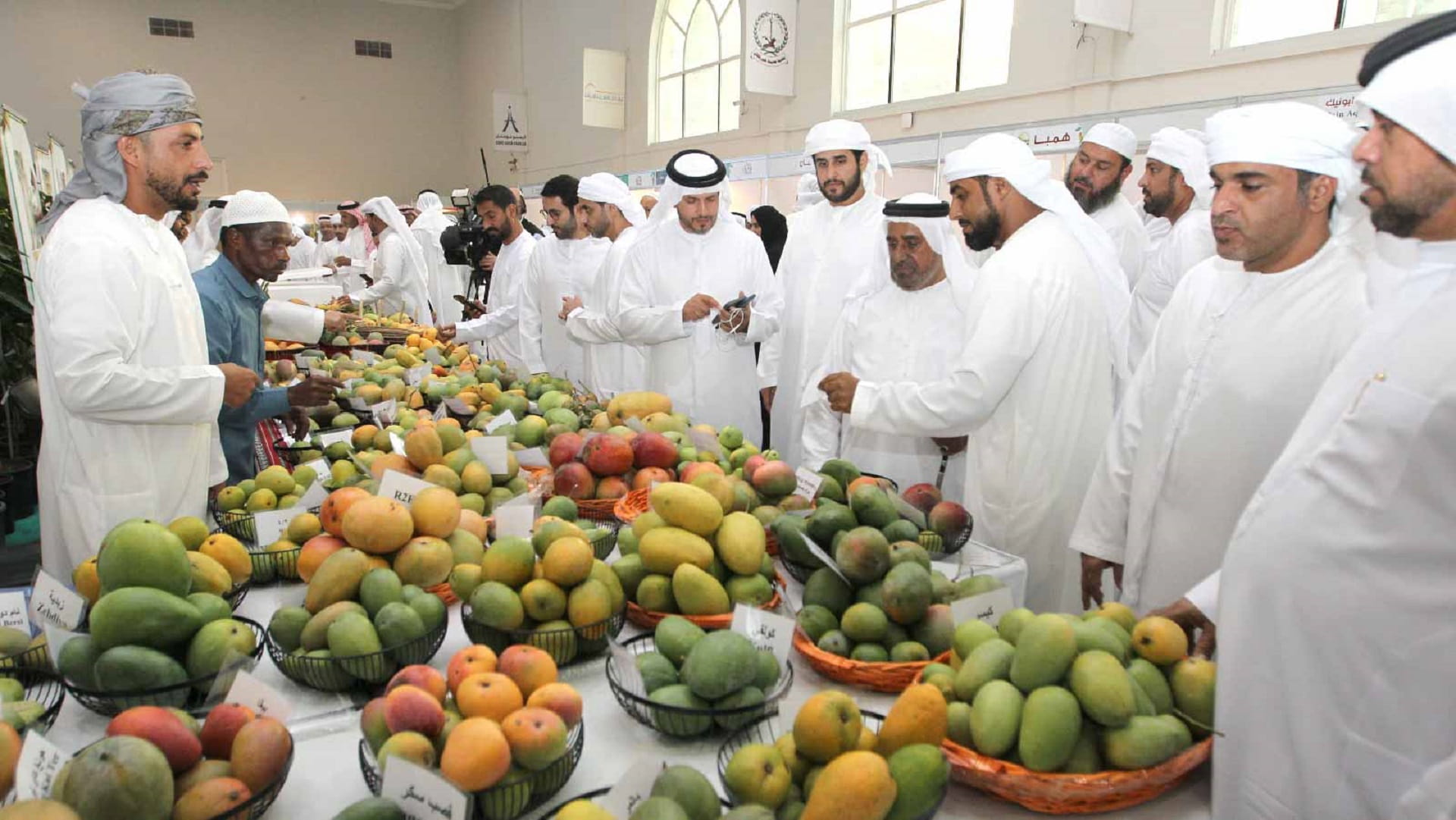 Mango Festival 2025 kicks off Friday at Expo Khorfakkan