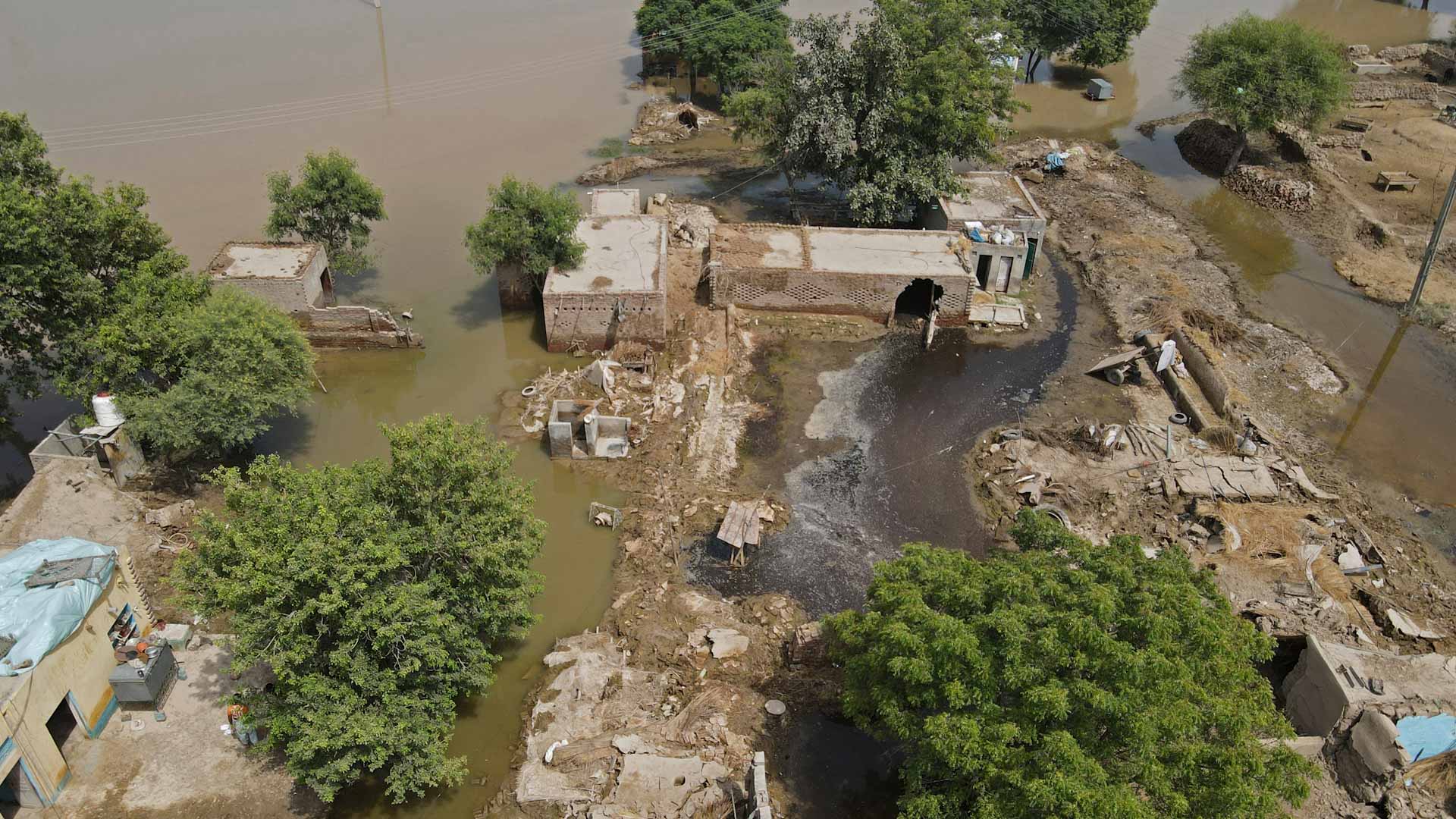Heavy rain kills 7, injures dozens in Pakistan's Punjab 