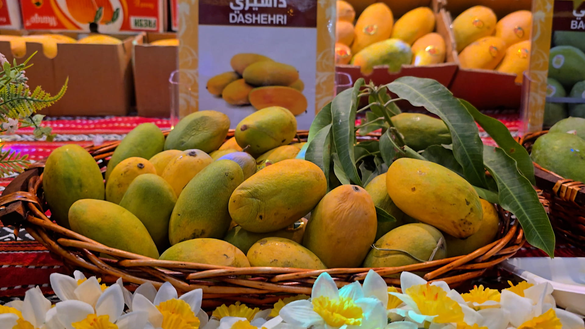 Mango Festival opens doors to visitors in its 4th edition