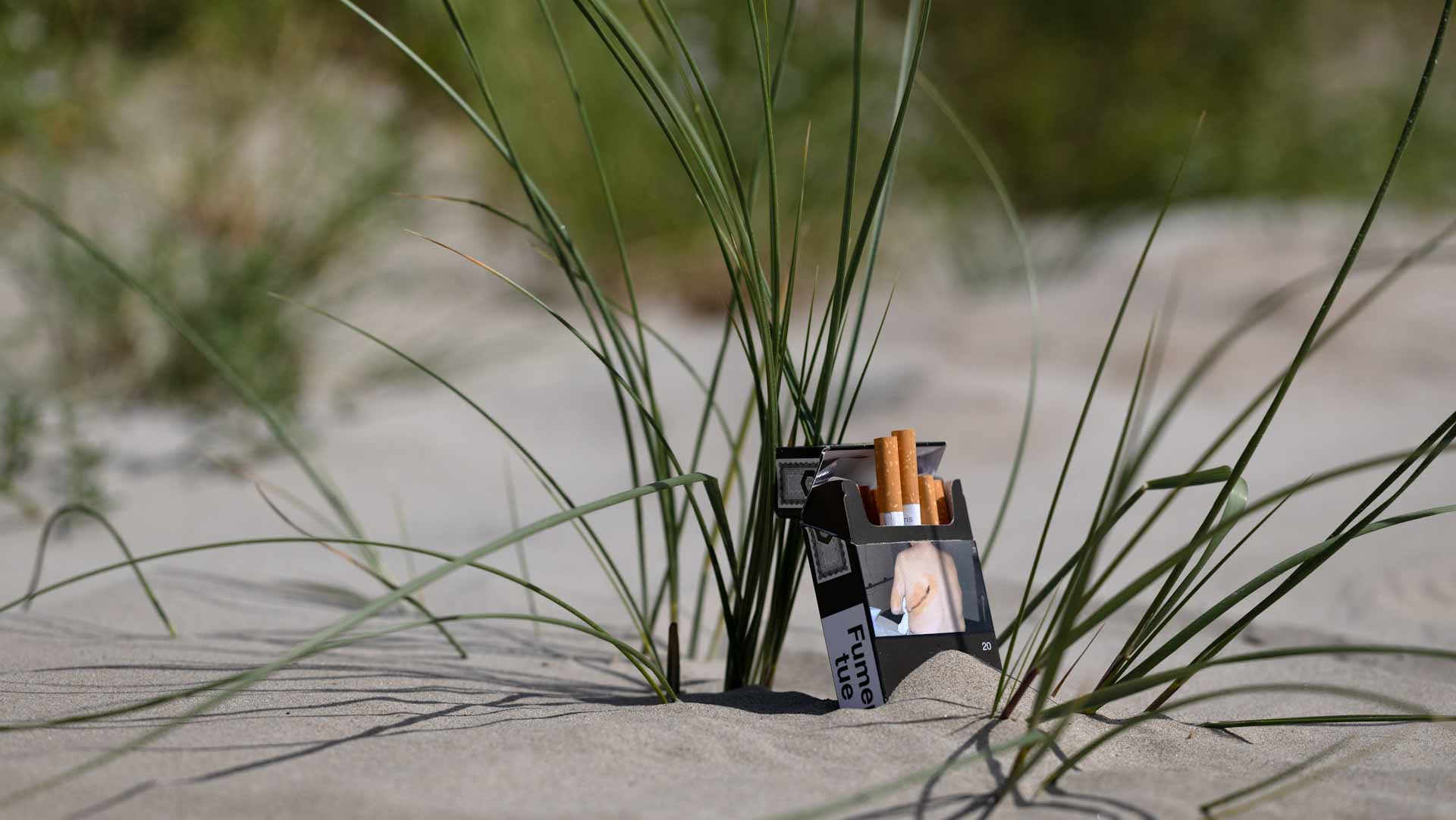 France imposes smoking ban on beaches, parks