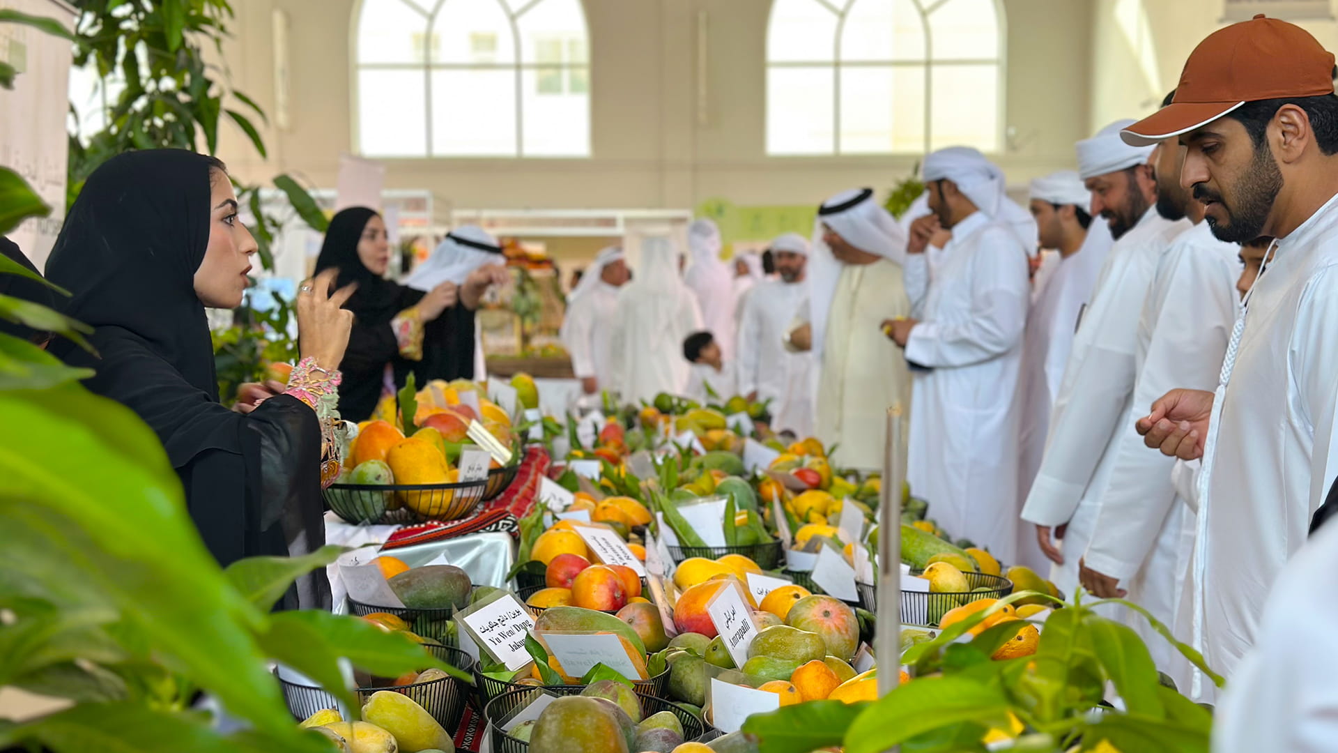 Khorfakkan wraps up 4th Mango Festival with success