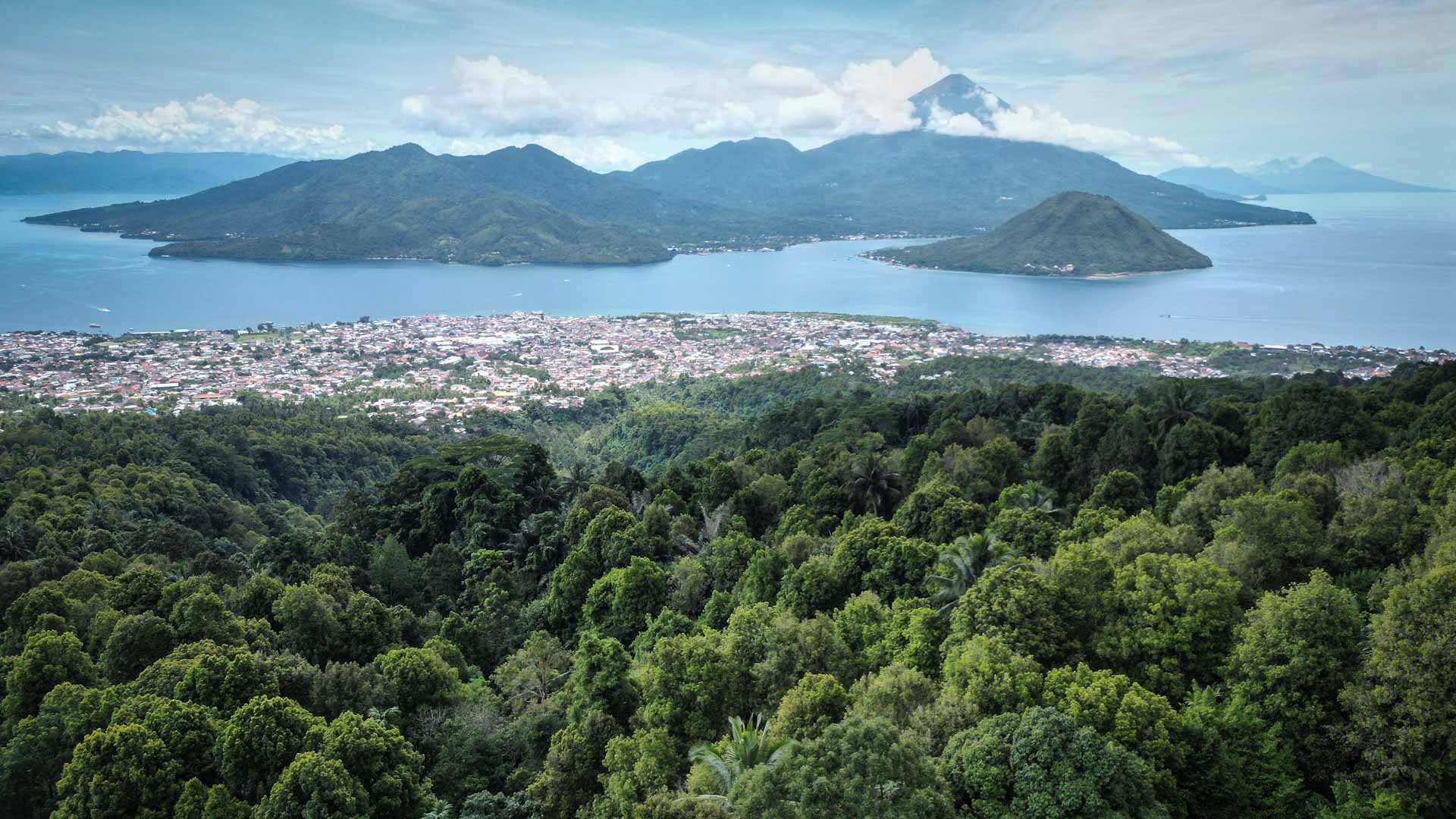 Indonesian  