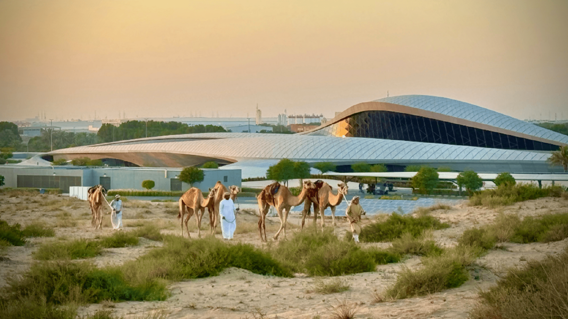 Urban solutions; green world documentary spotlights Sharjah 