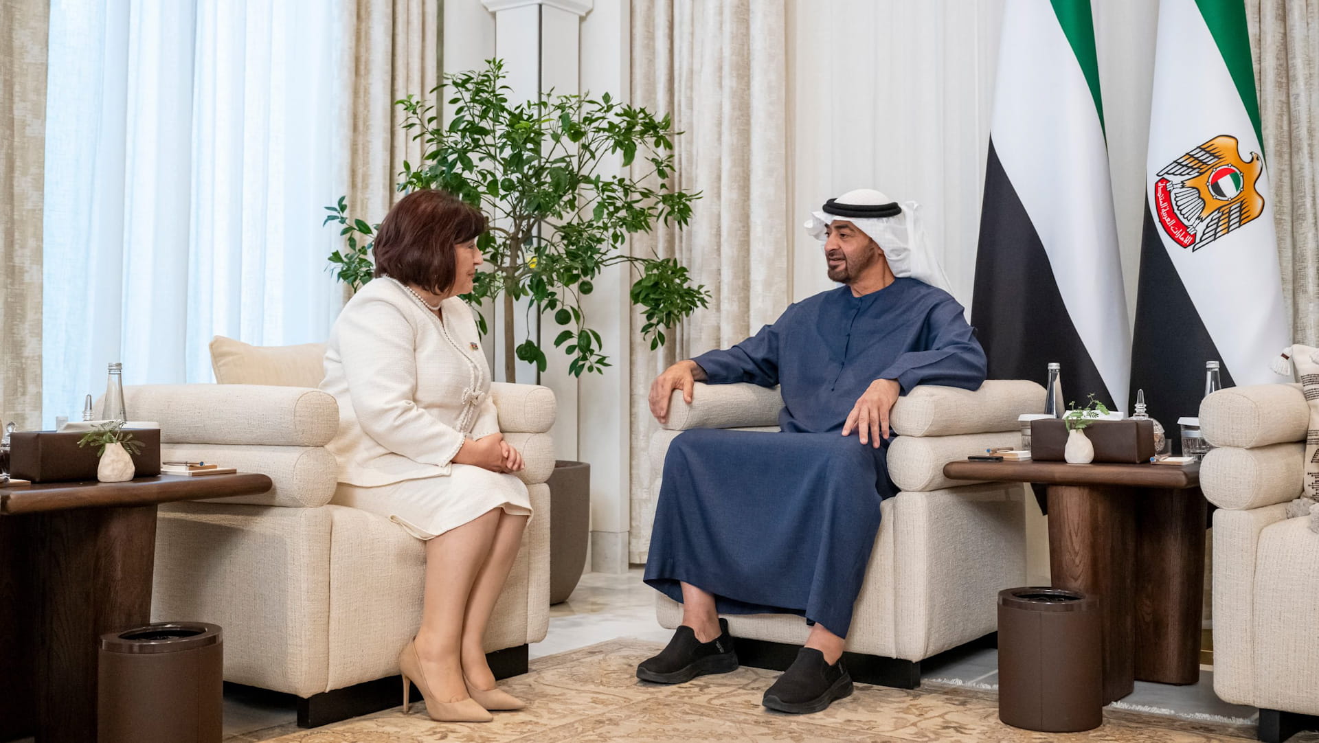 Image for the title: UAE President receives Speaker of Azerbaijan’s Milli Majlis 