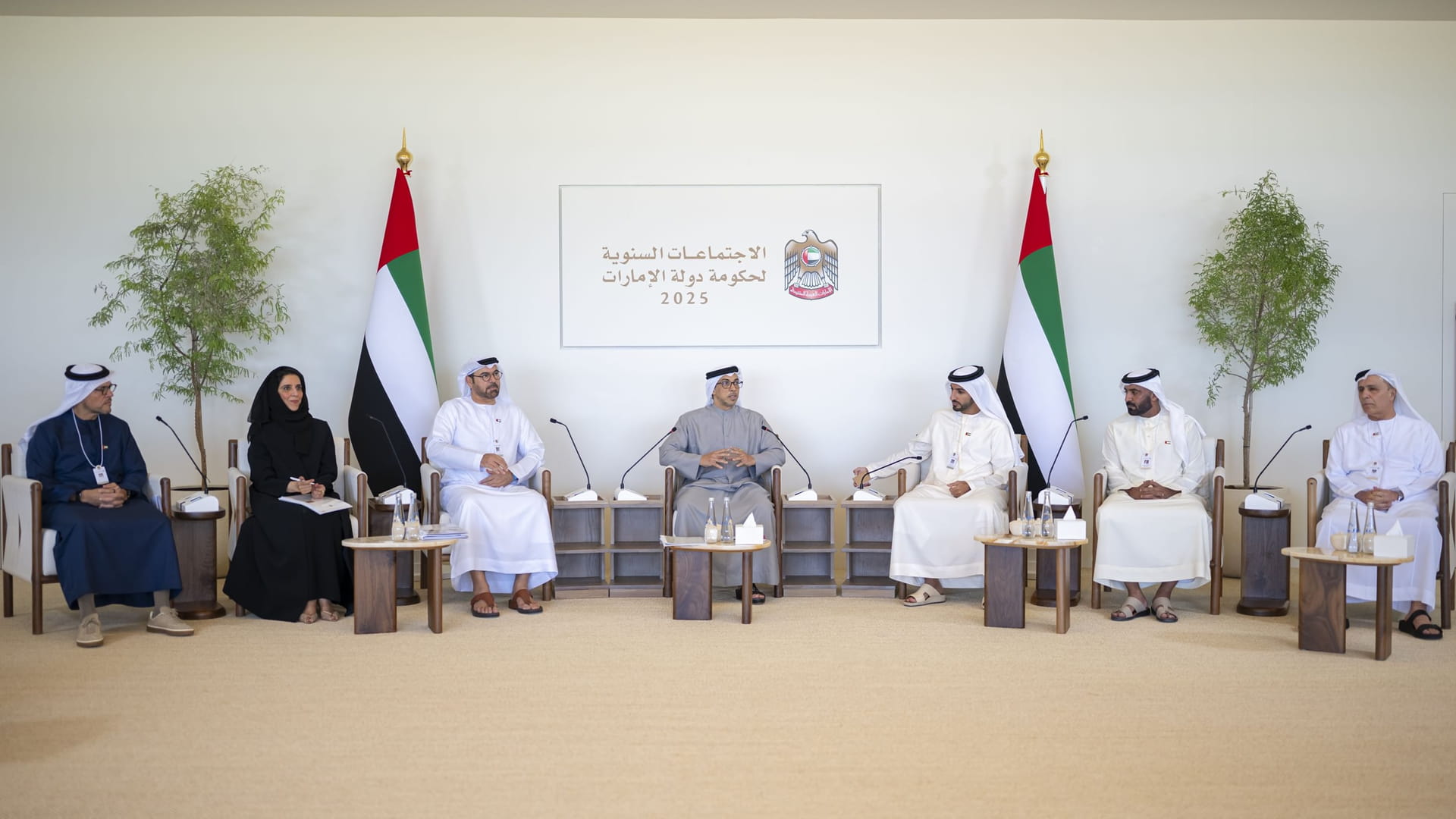 Mansour bin Zayed chairs Ministerial Development Council meeting