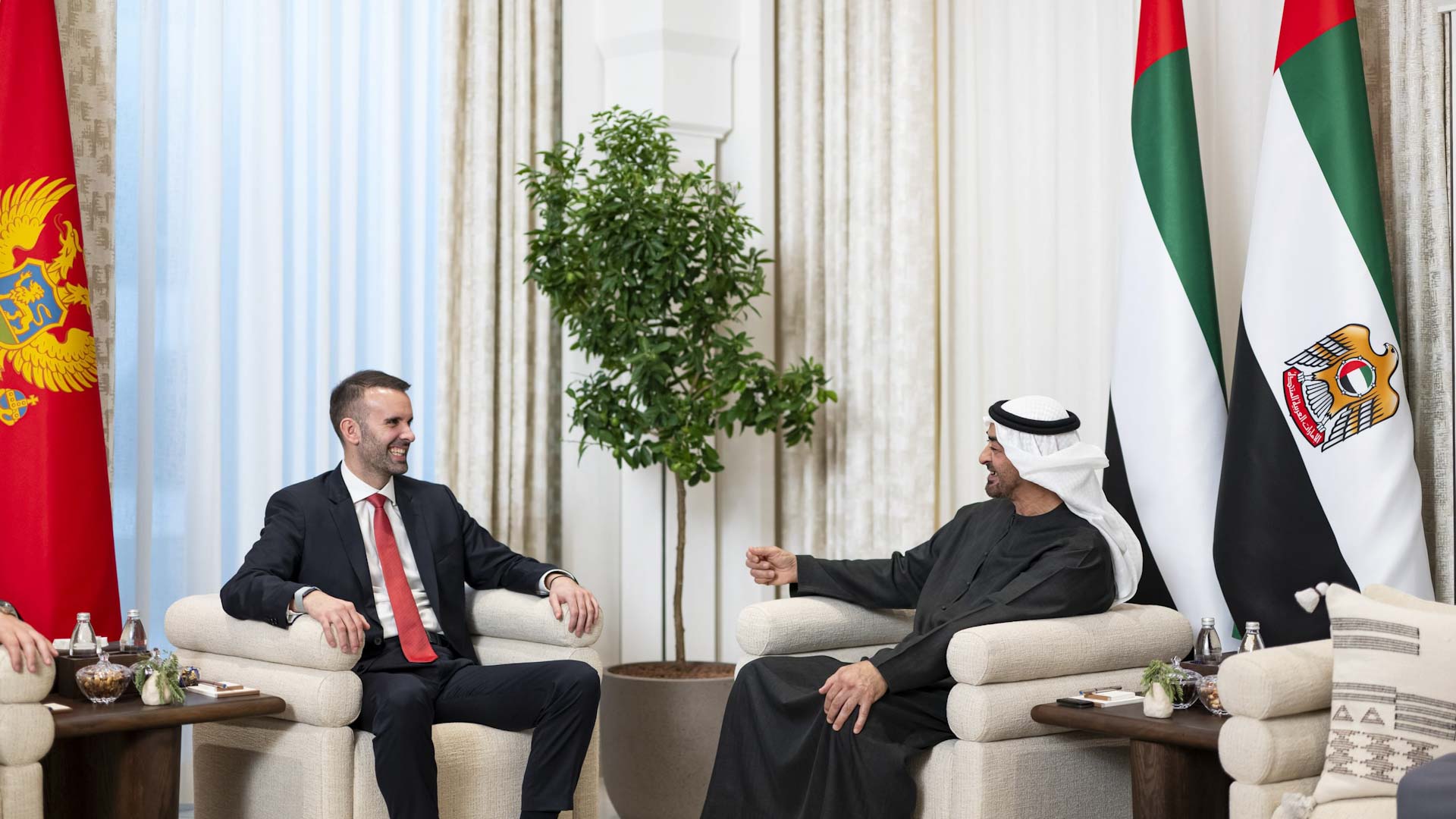 UAE President meets Montenegrin Prime Minister
