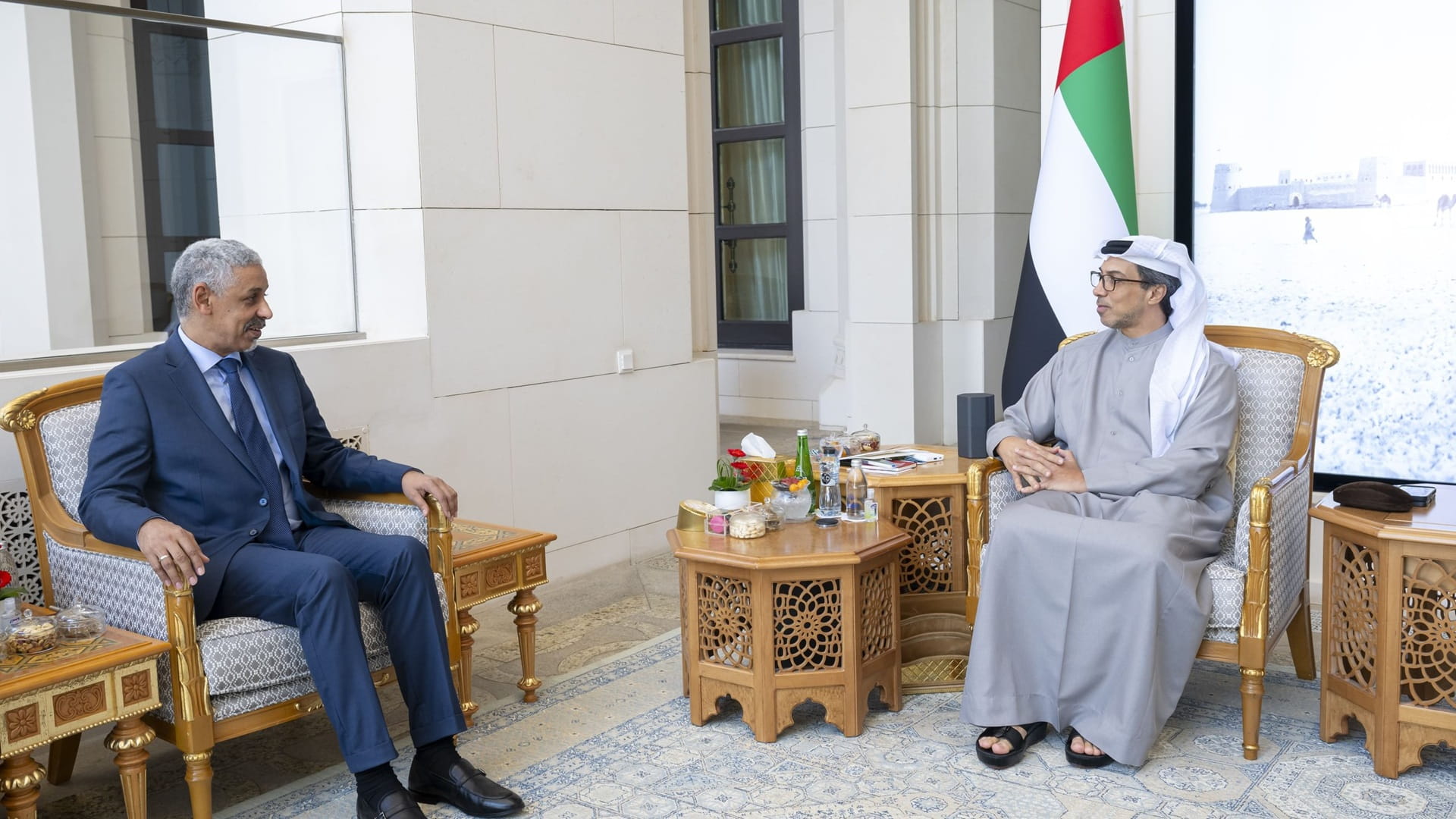 Mansour bin Zayed receives BADEA Director-General