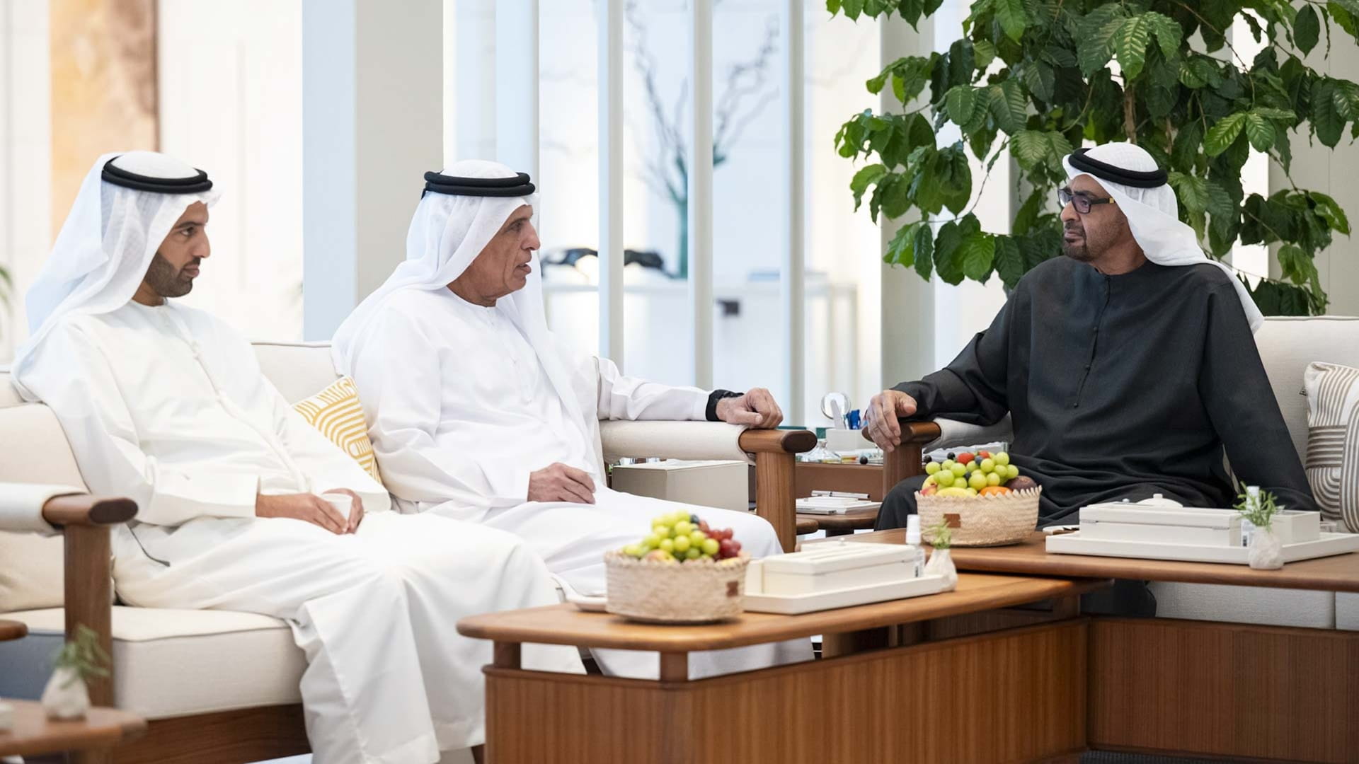 UAE President, RAK Ruler discuss national priorities